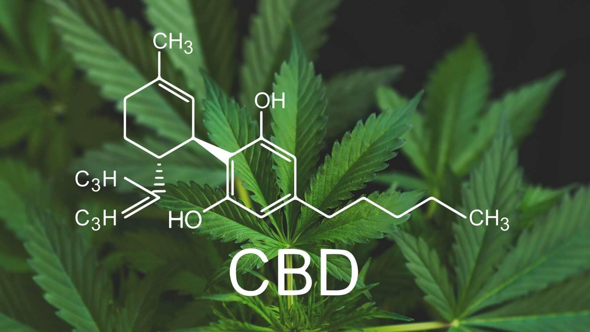 Quels sont les bienfaits du CBD ? - MY CHANVRE CBD