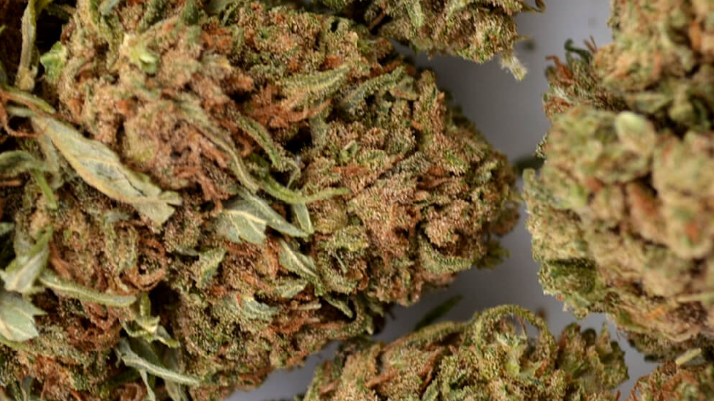 Mix Signature — L’art de la sélection, version fleur