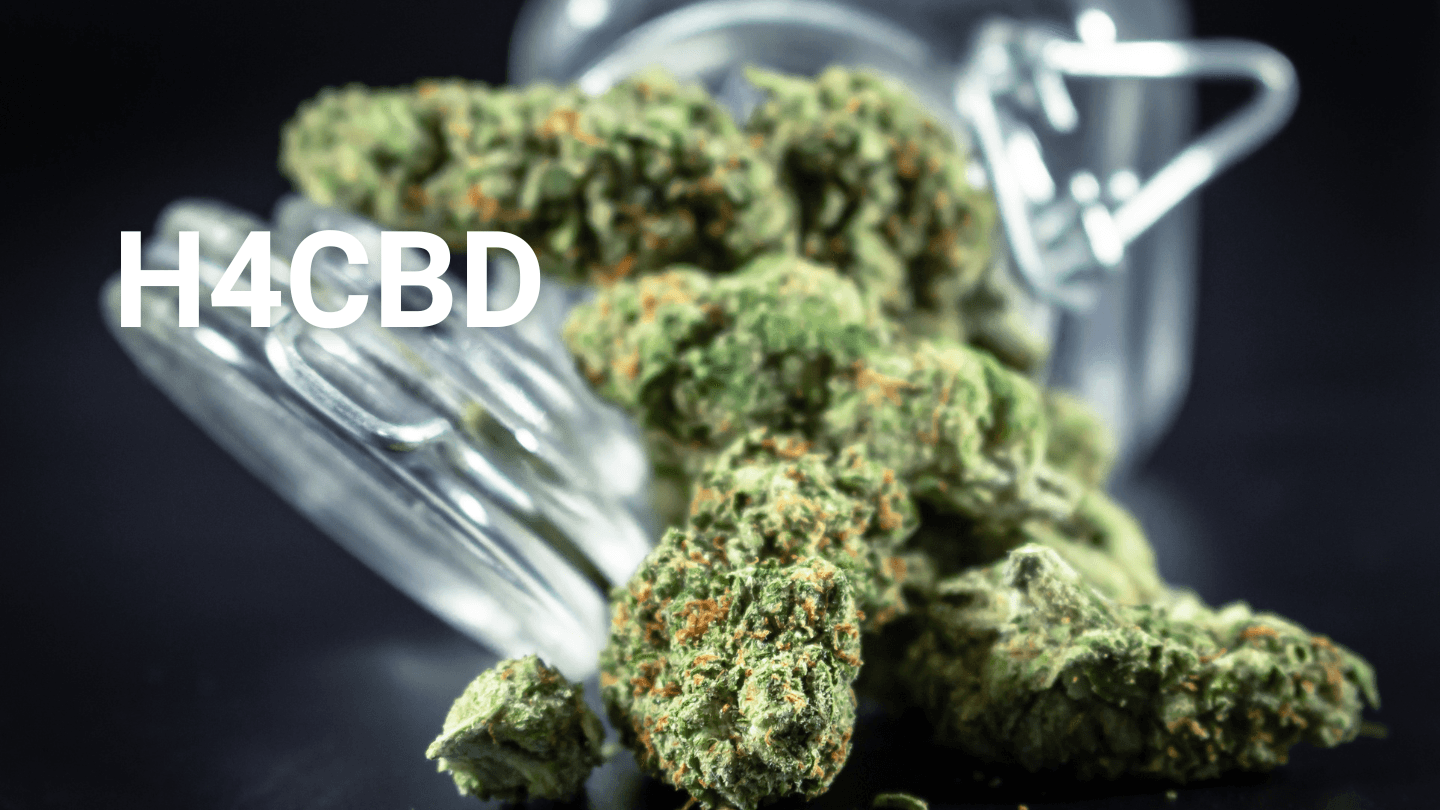 Guide Complet du H4CBD : Le Nouveau Cannabinoïde Révolutionnant l'Industrie du CBD - MY CHANVRE CBD