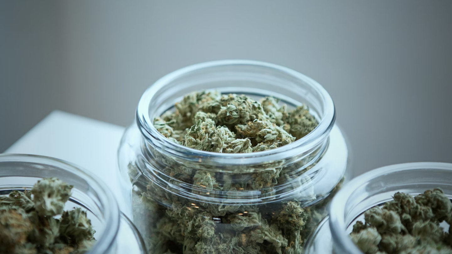 Pourquoi certaines fleurs de CBD sont beaucoup moins chères ?