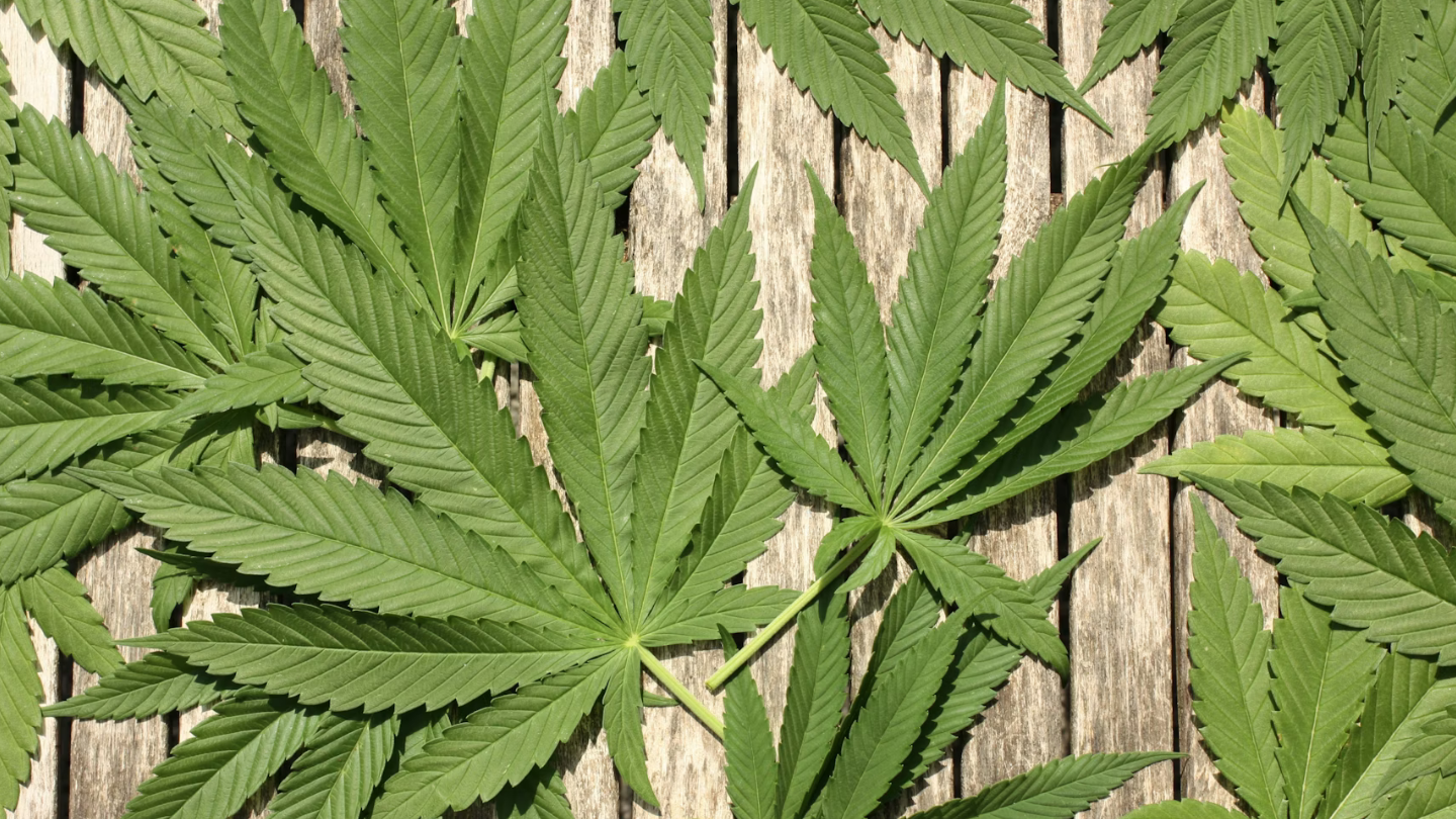 CBD qui ne fait rien : est-ce normal ?