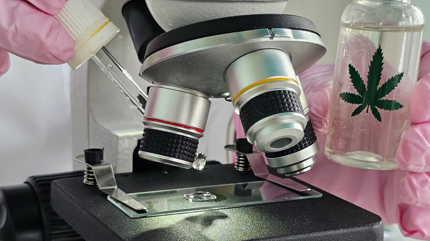 THCX au microscope