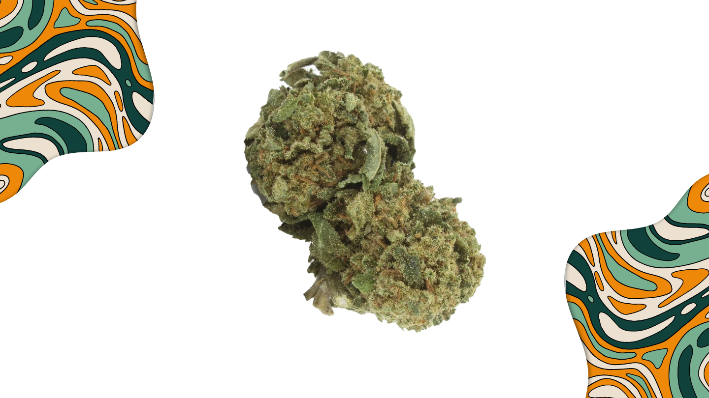Pineapple Express : la variété culte au goût de soleil