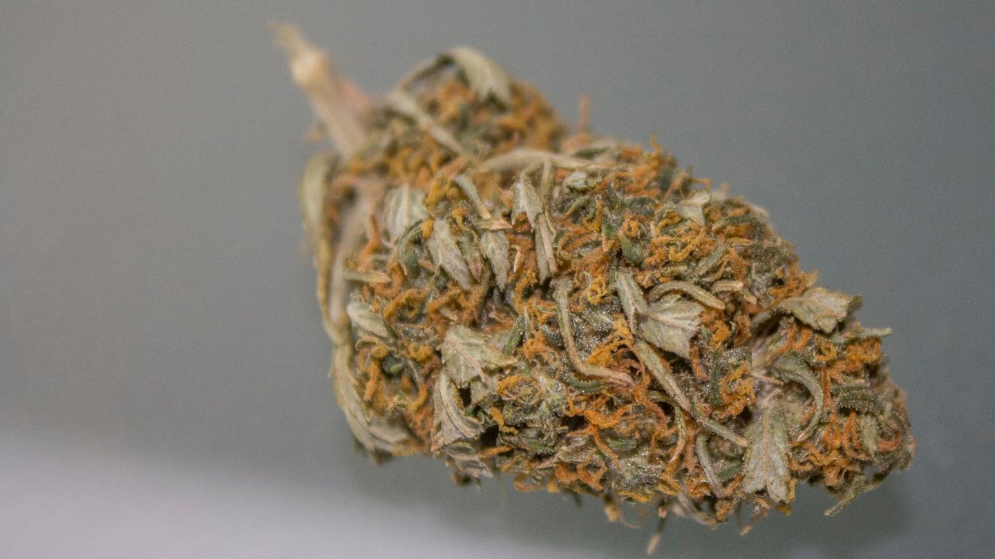 White Widow CBD 🕷️❄️ – La légende givrée qui détend sans te geler le cerveau