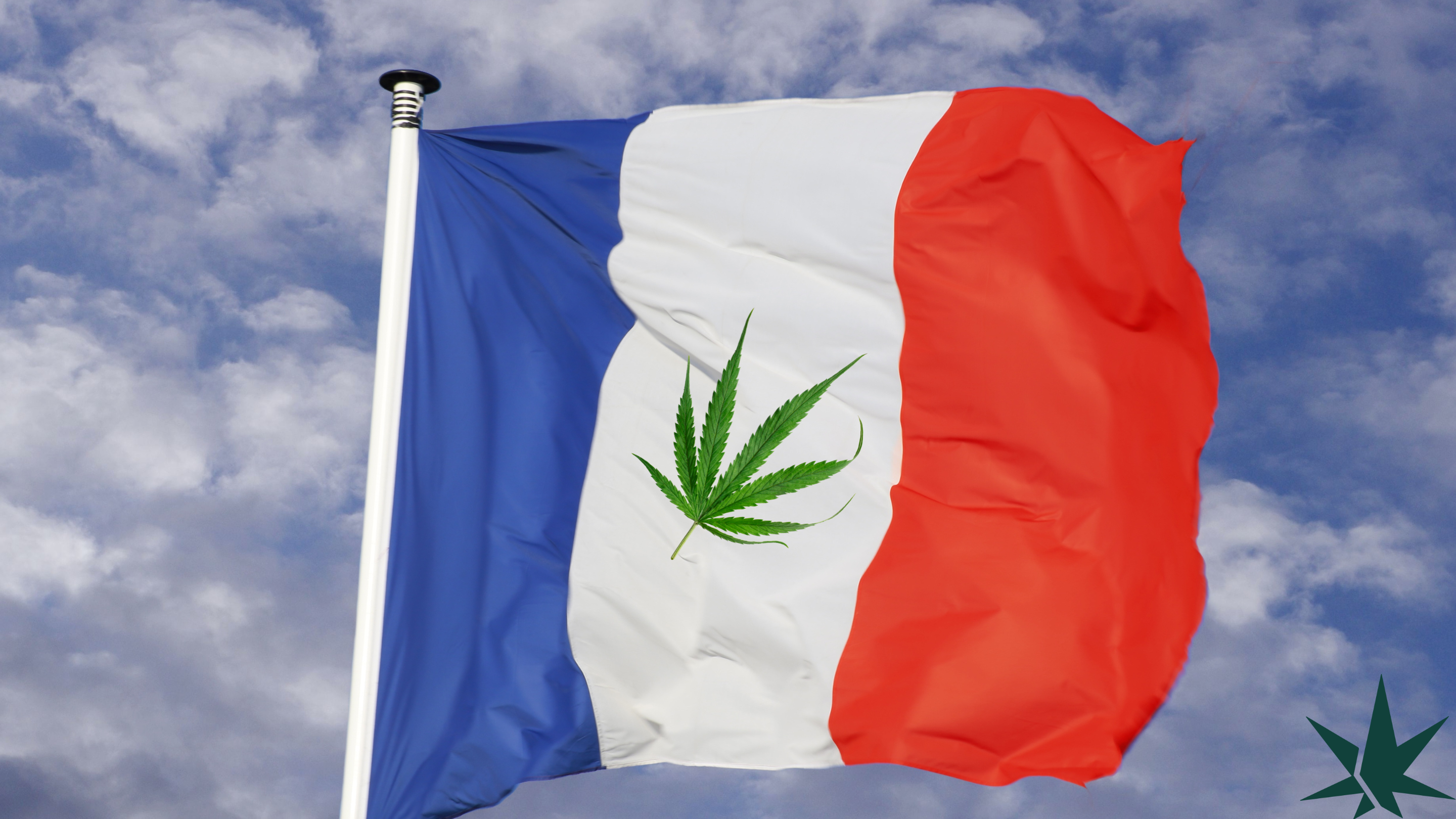 Pourquoi de plus en plus de Français se tournent vers le CBD ?