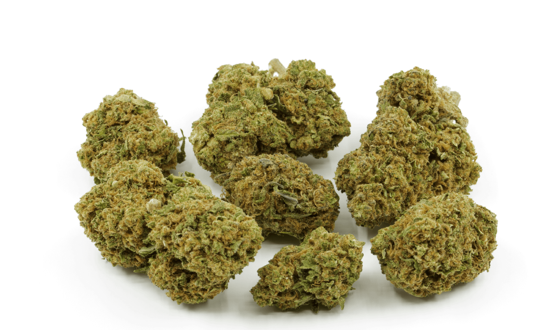 C’est quoi l’Amnesia ? 🌪️💨 La variété qui met tout le monde d’accord