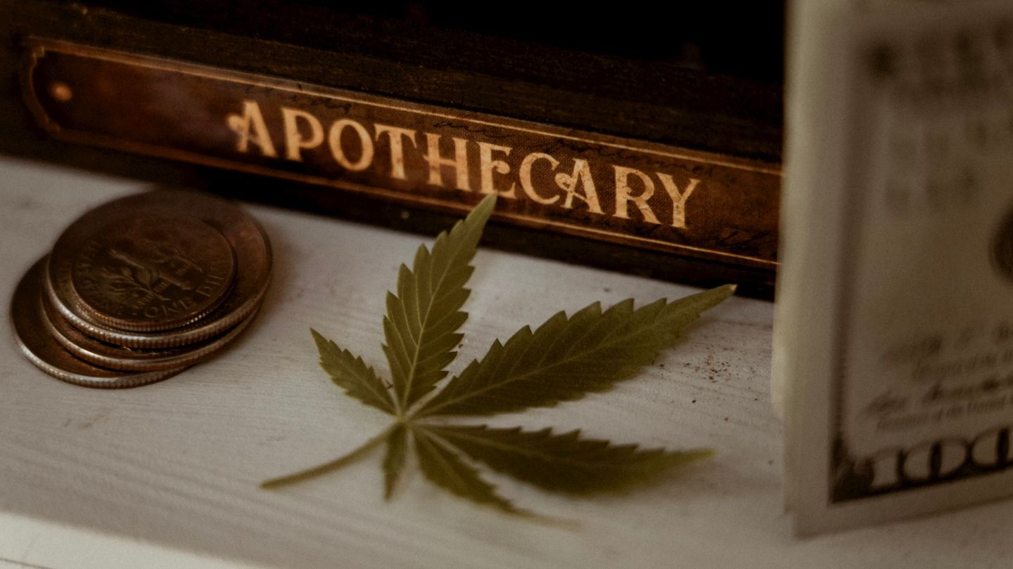 🌿 L’histoire du chanvre : De l’Antiquité à nos jours