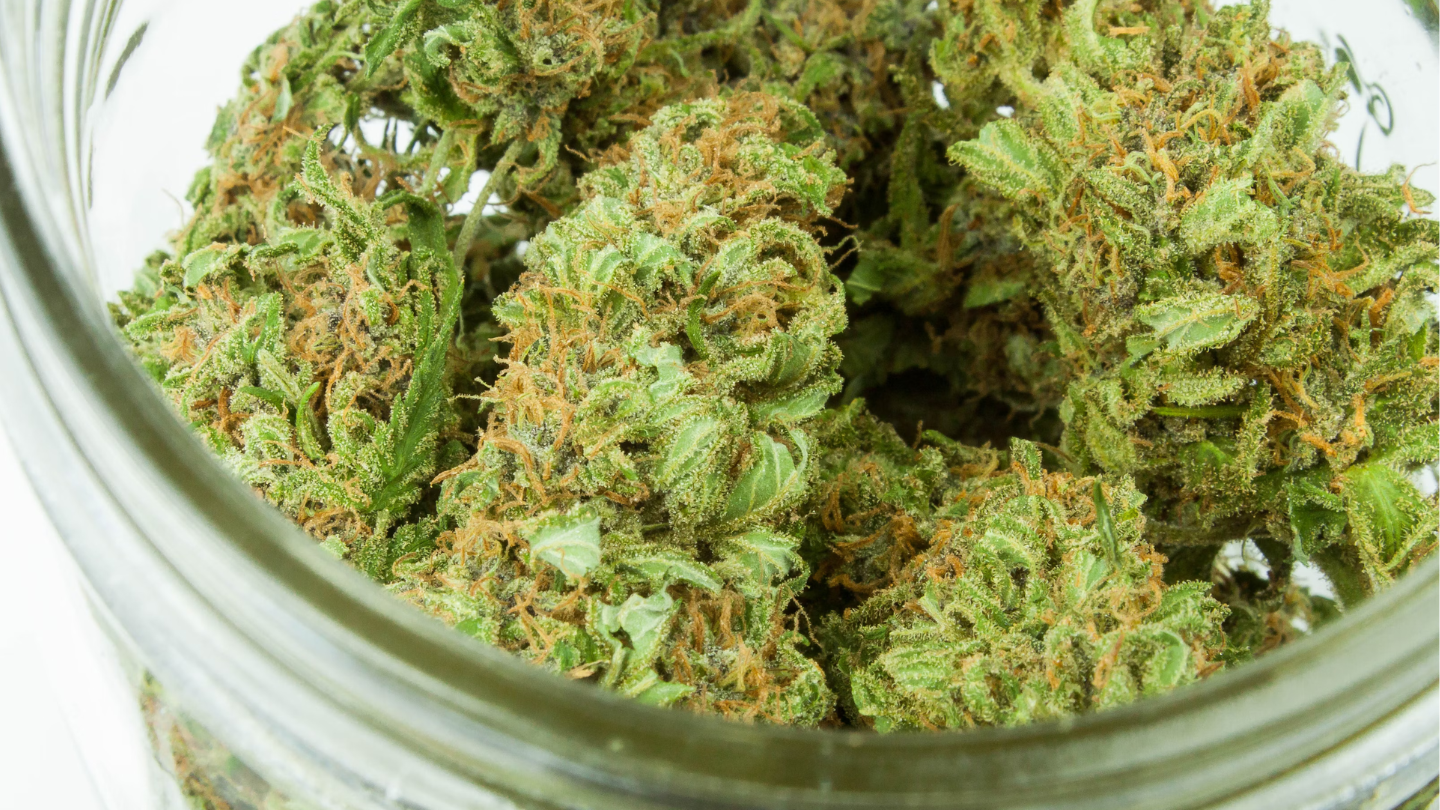 Cannabis médical vs CBD bien-être : quelles différences ?