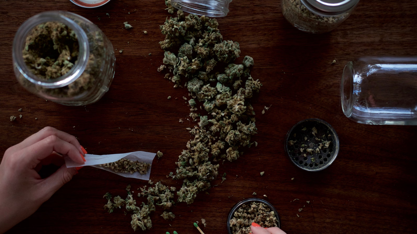 🌿 Le CBD peut-il remplacer le cannabis classique ?