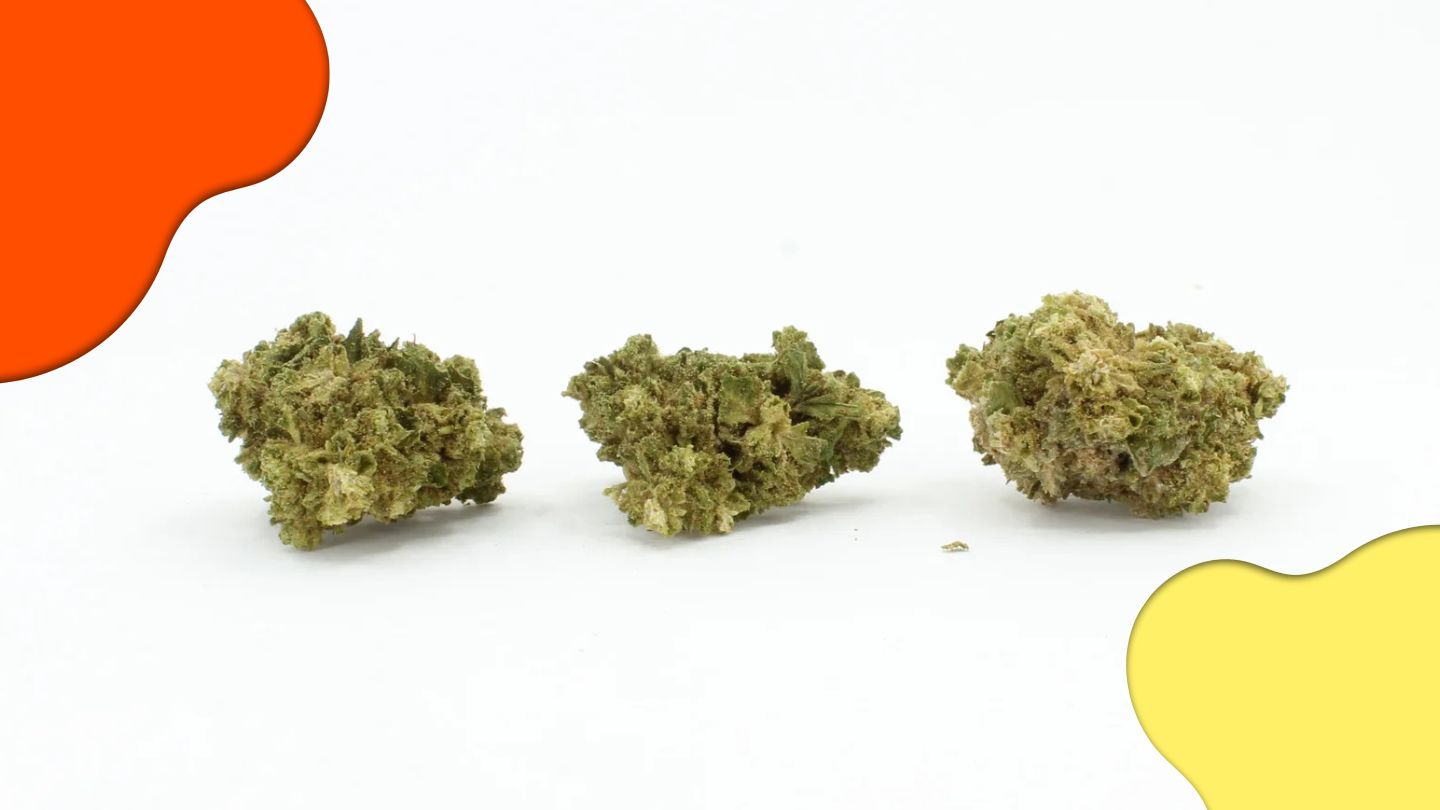 Tropical OG CBD — L’évasion tropicale version chill