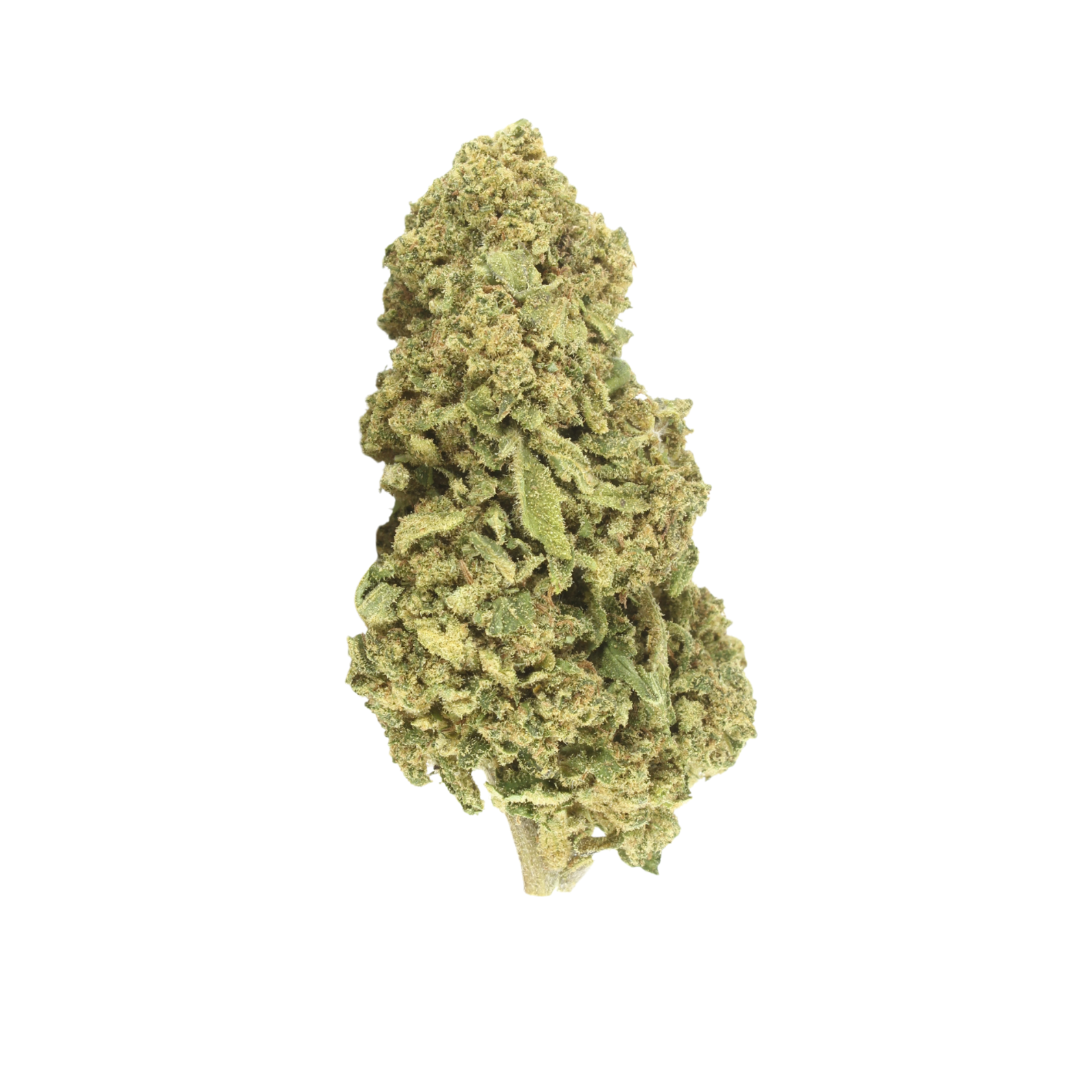 Peach Dream
