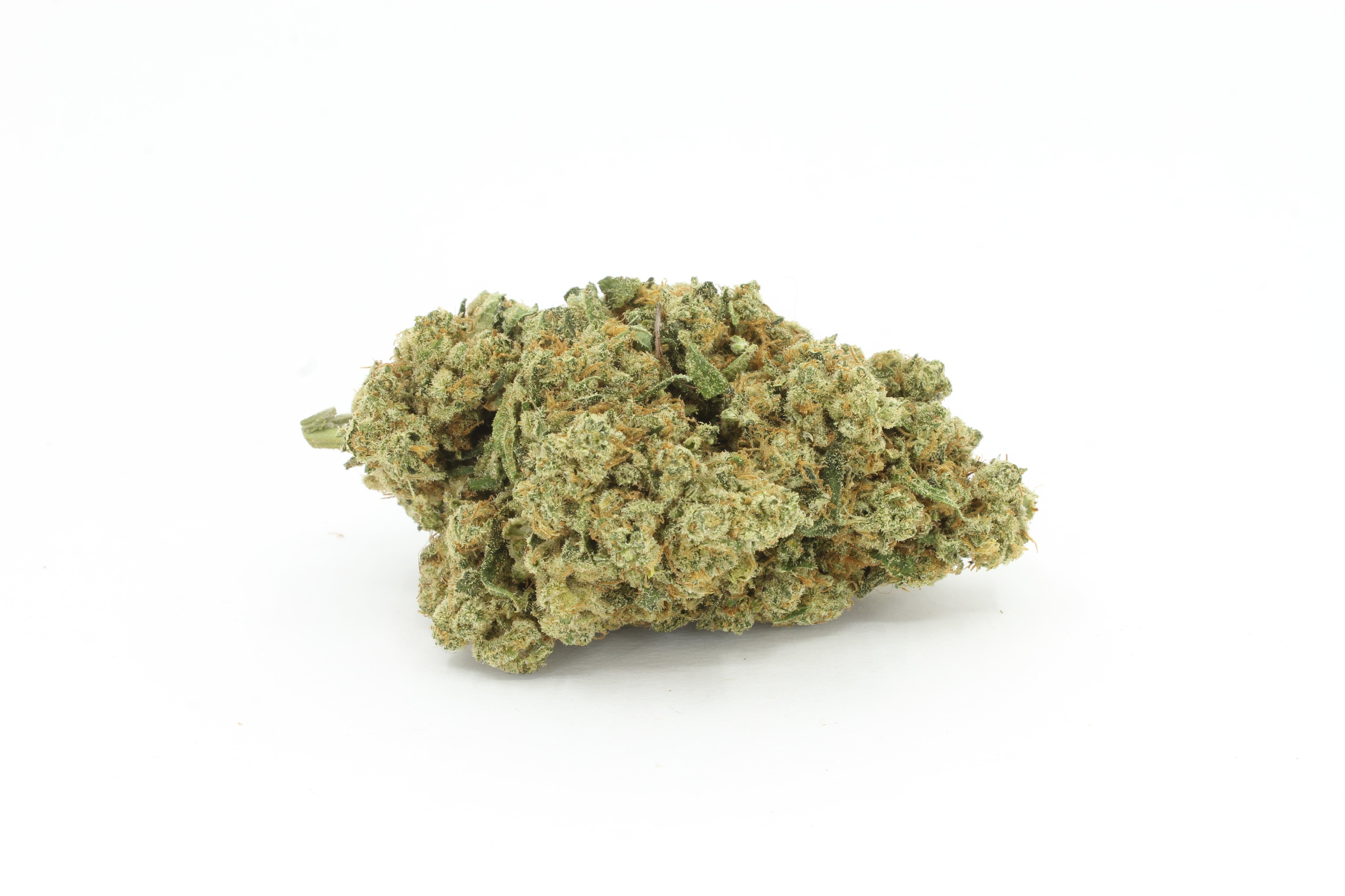 fleurs de white widow fond blanc