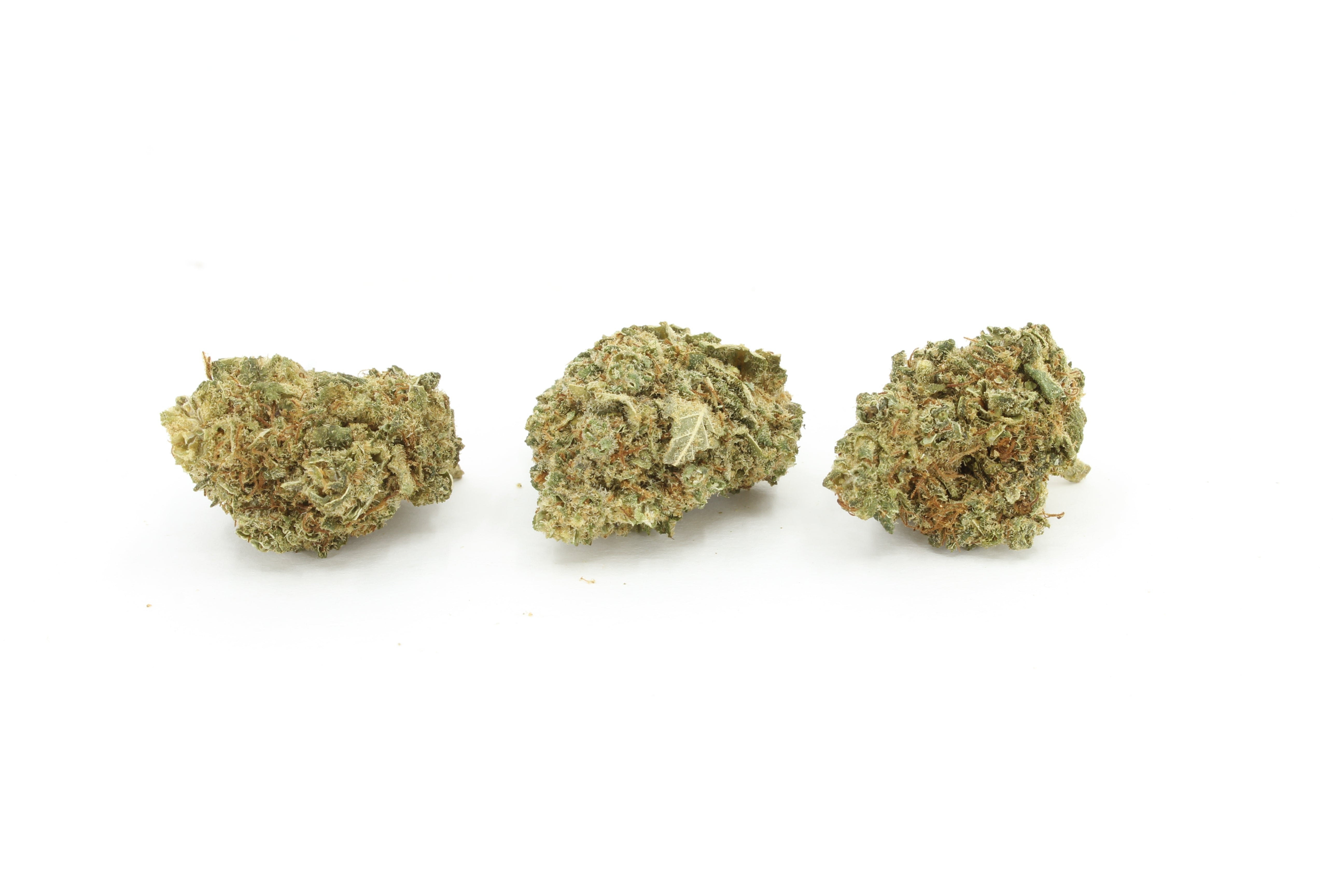 3 fleurs de white widow blanc