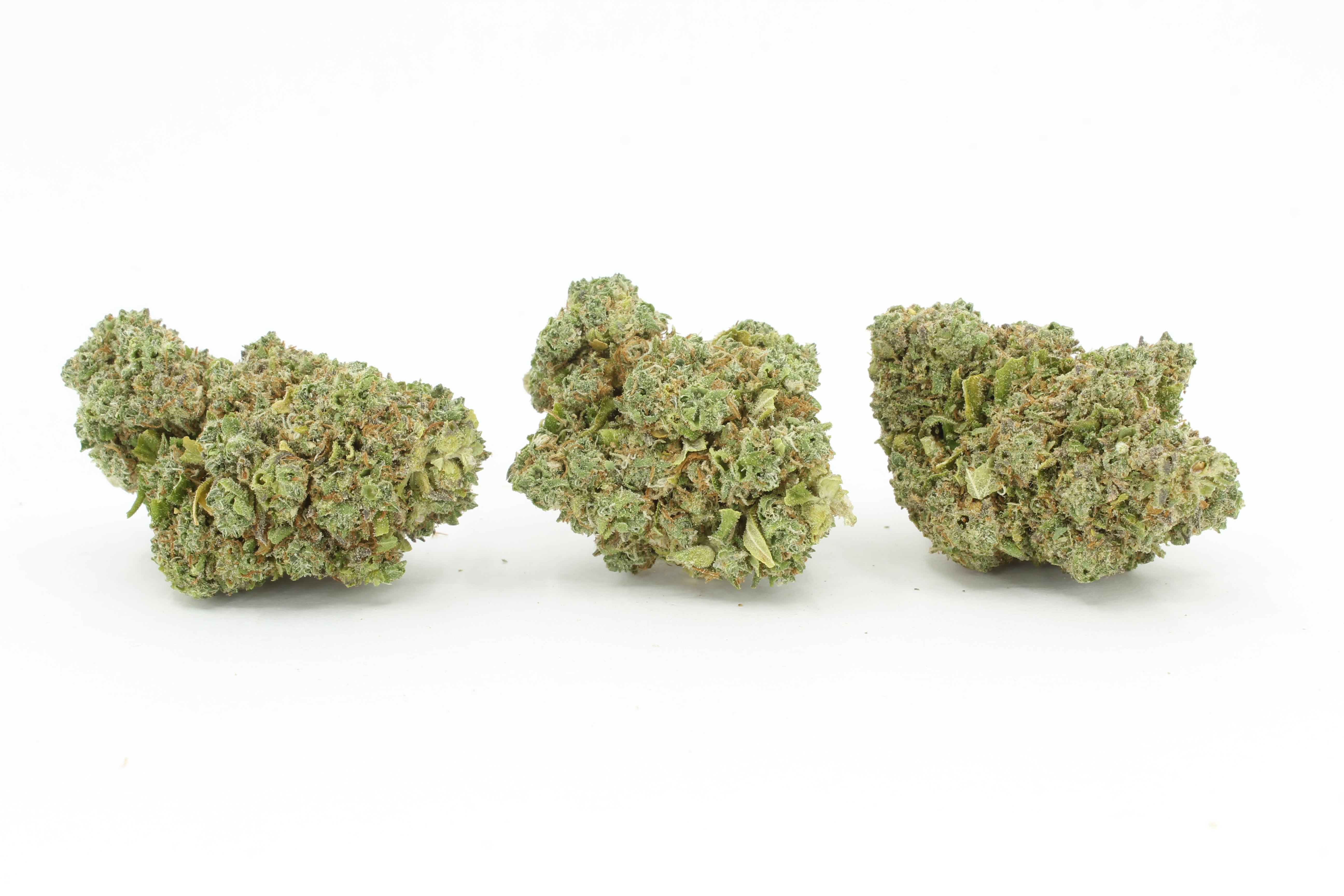 Melon Cake CBD