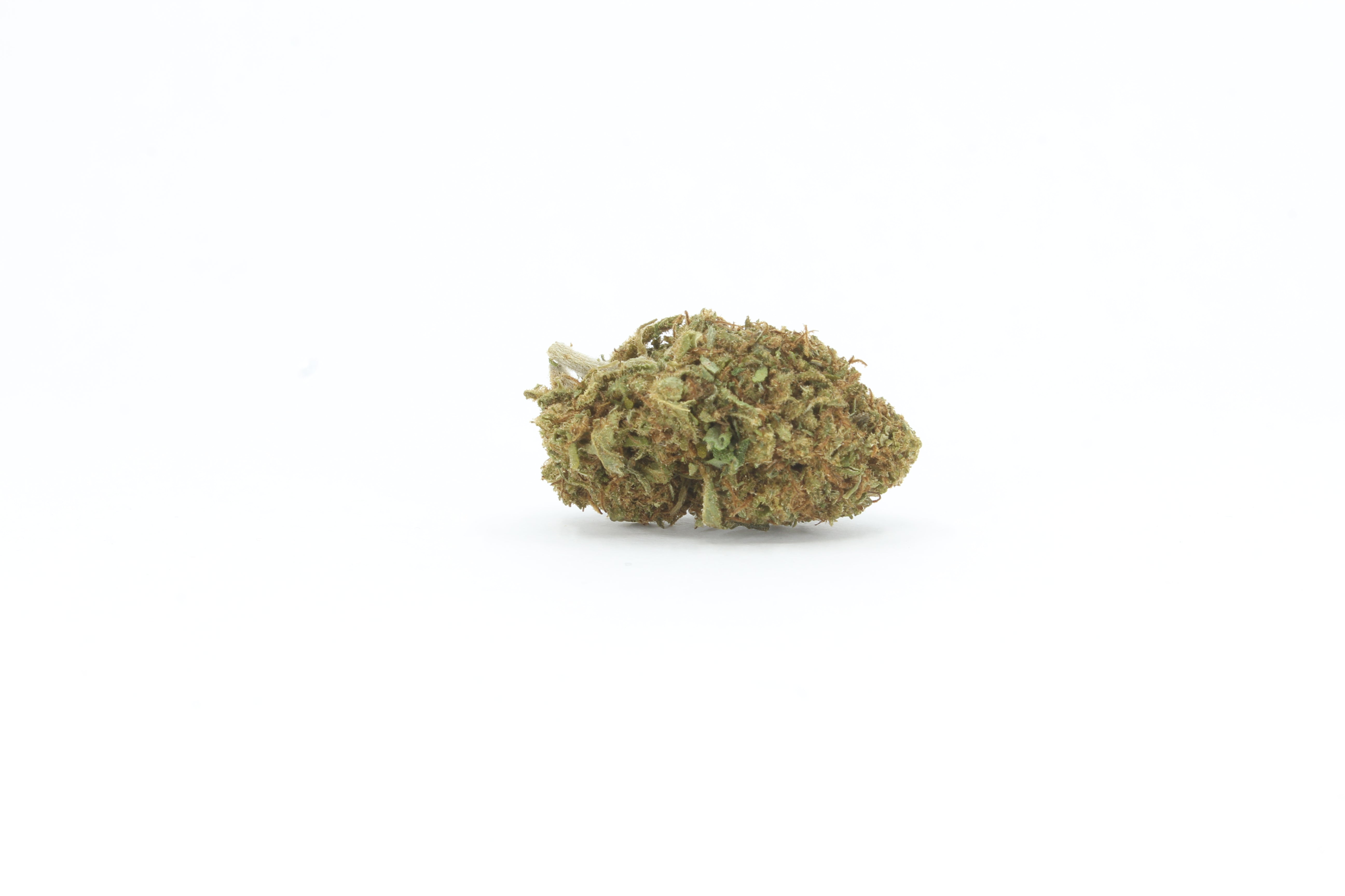 Blueberry