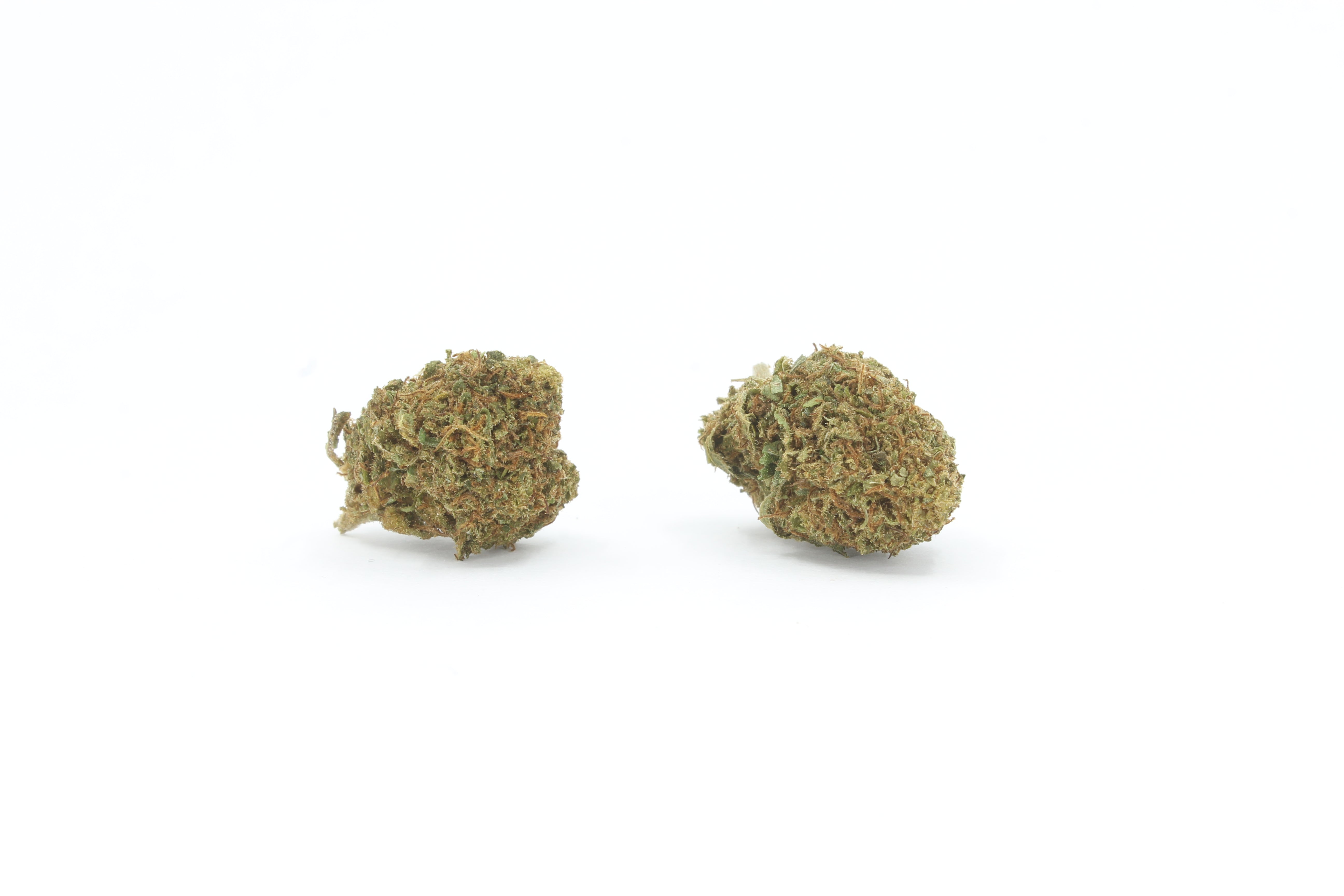 Blueberry