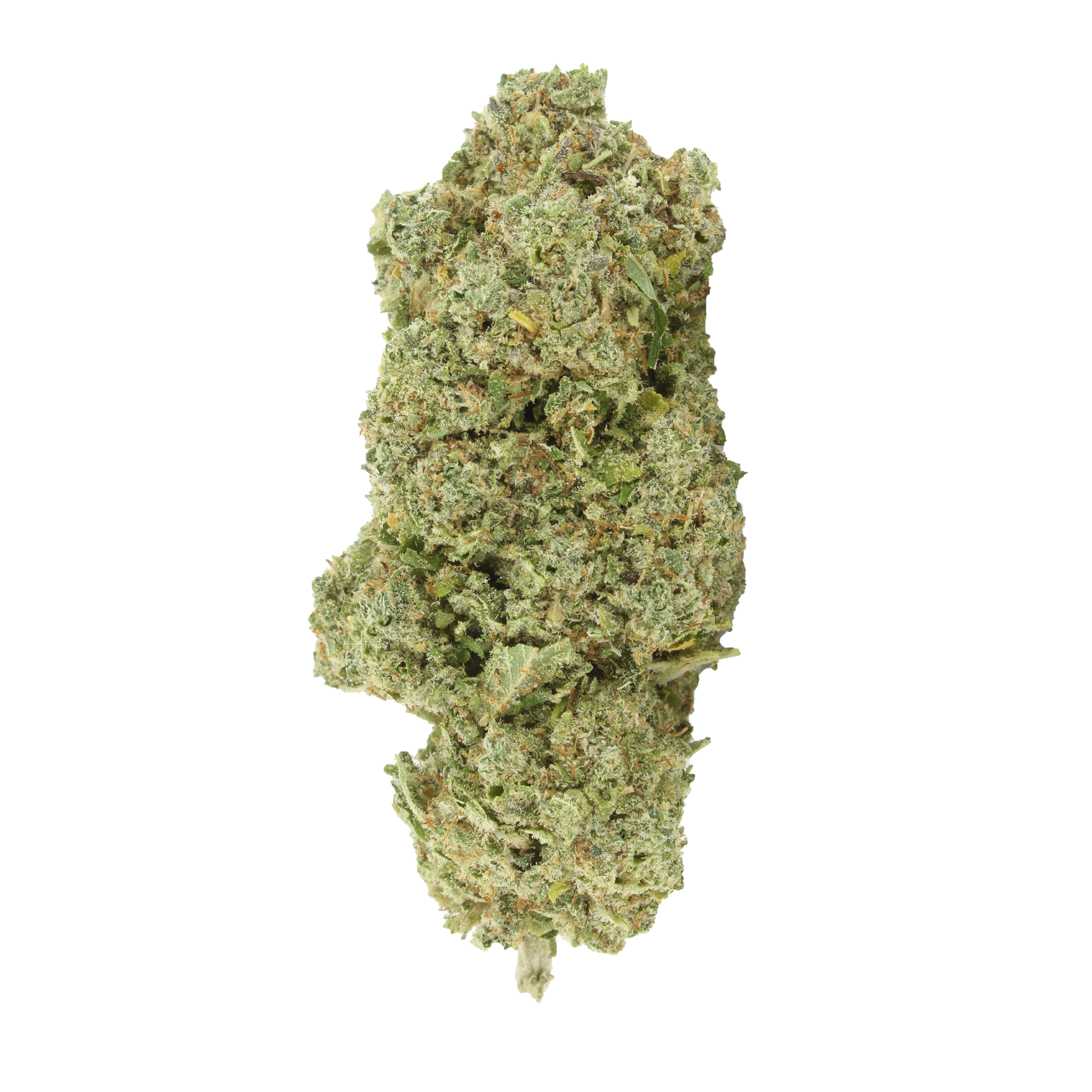 Melon Cake CBD