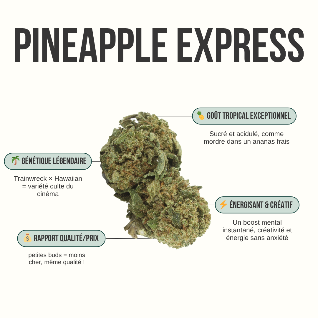 Pineapple Express V3