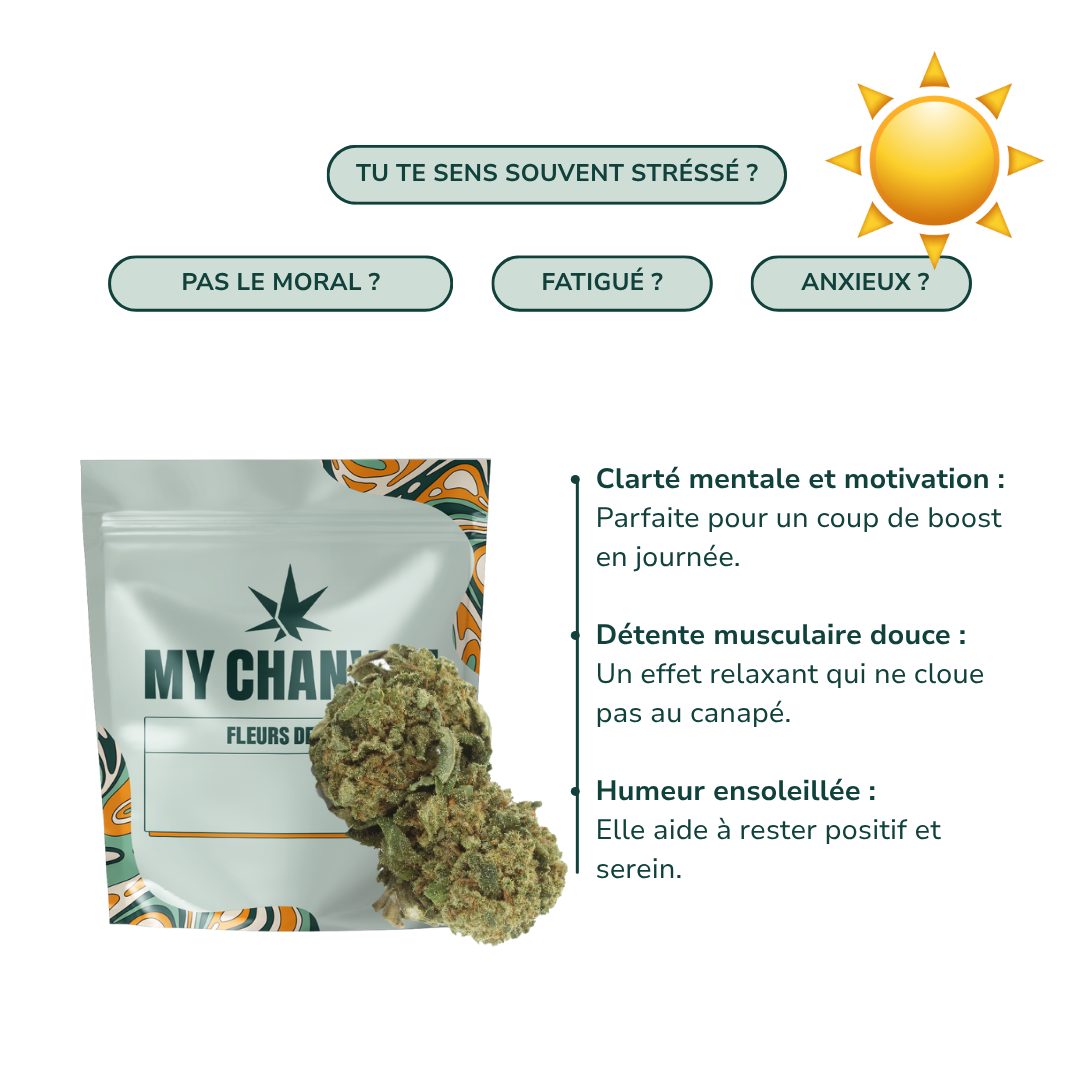 Pineapple Express V3