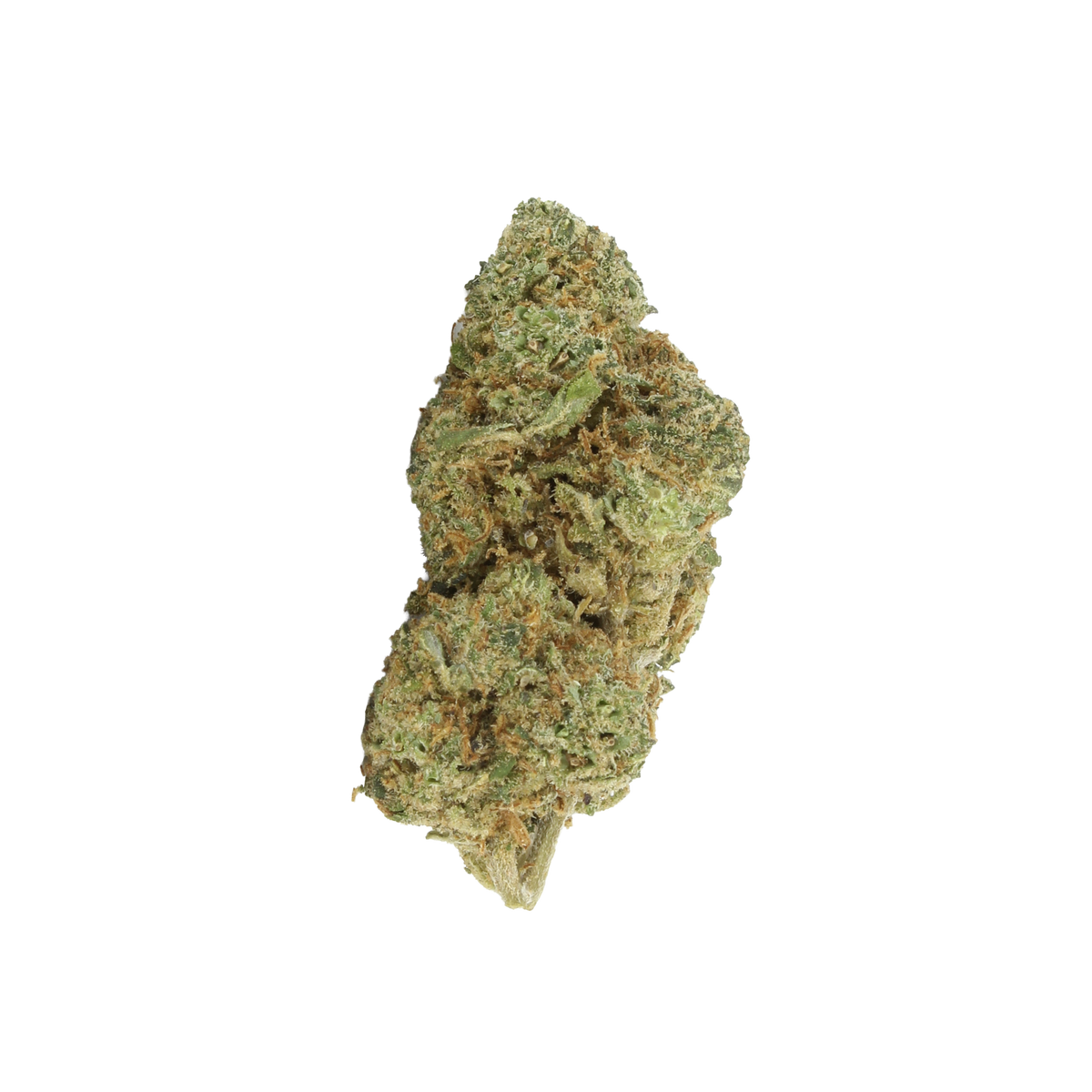 Purple Haze