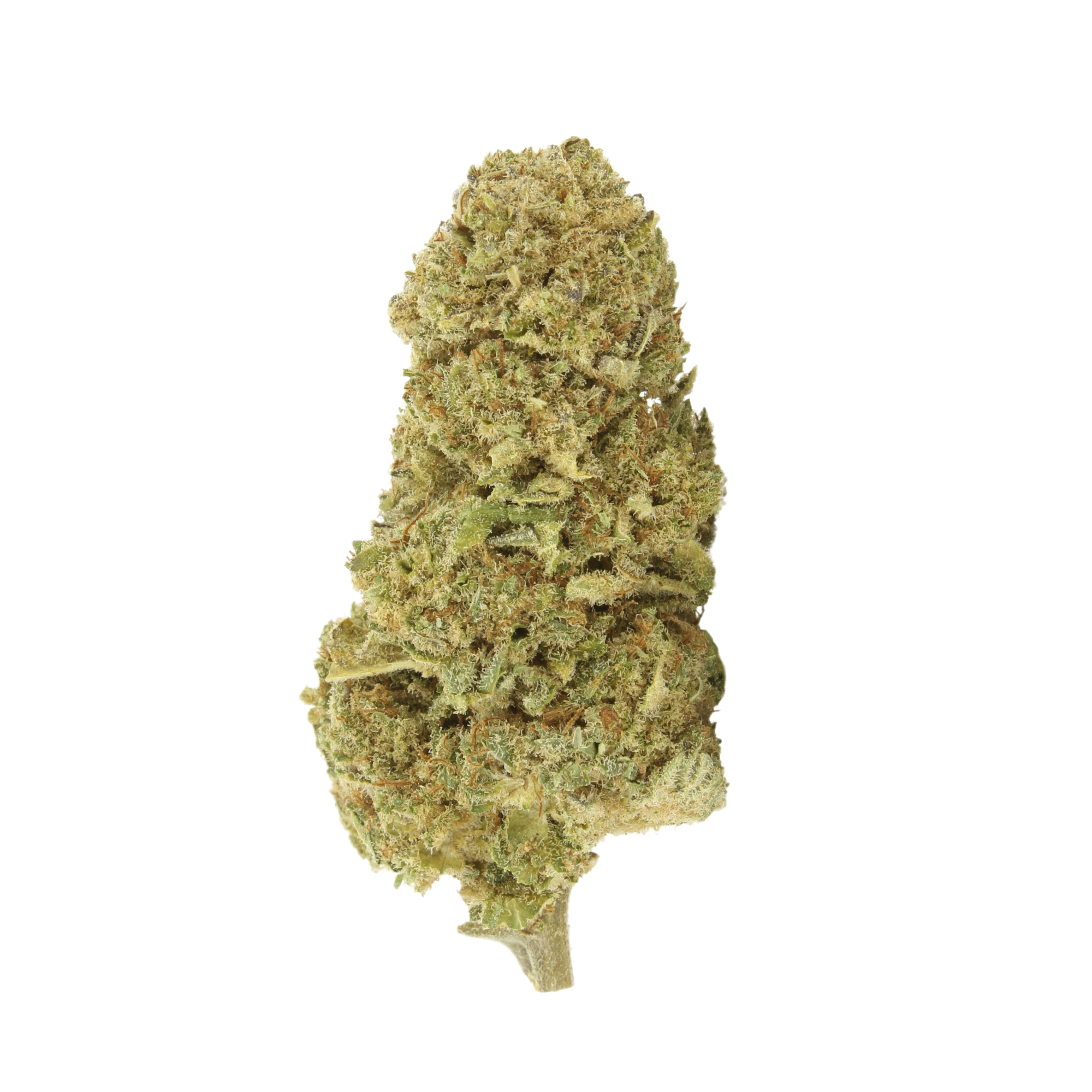 Banana Cream