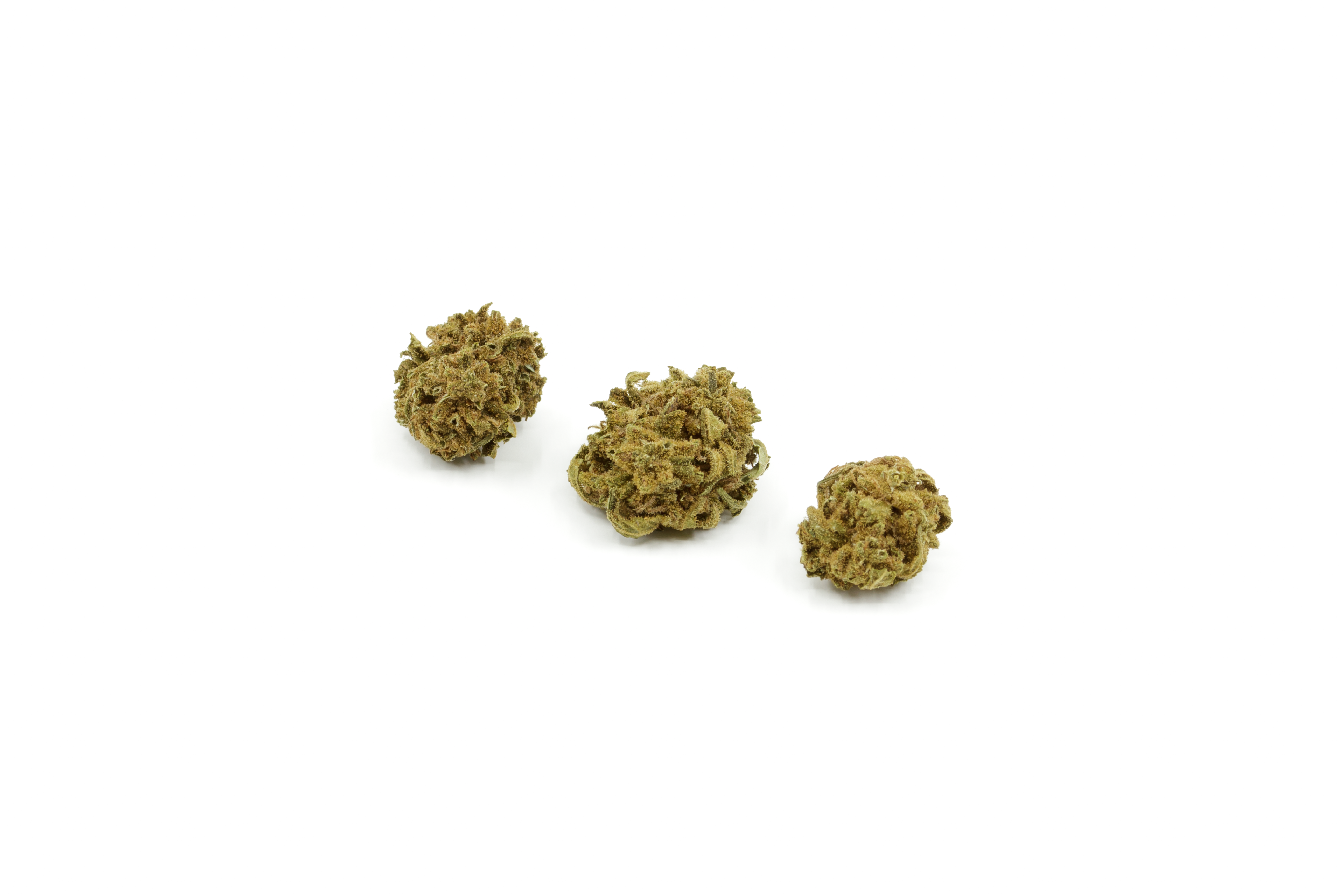 SMALL MIX BUD