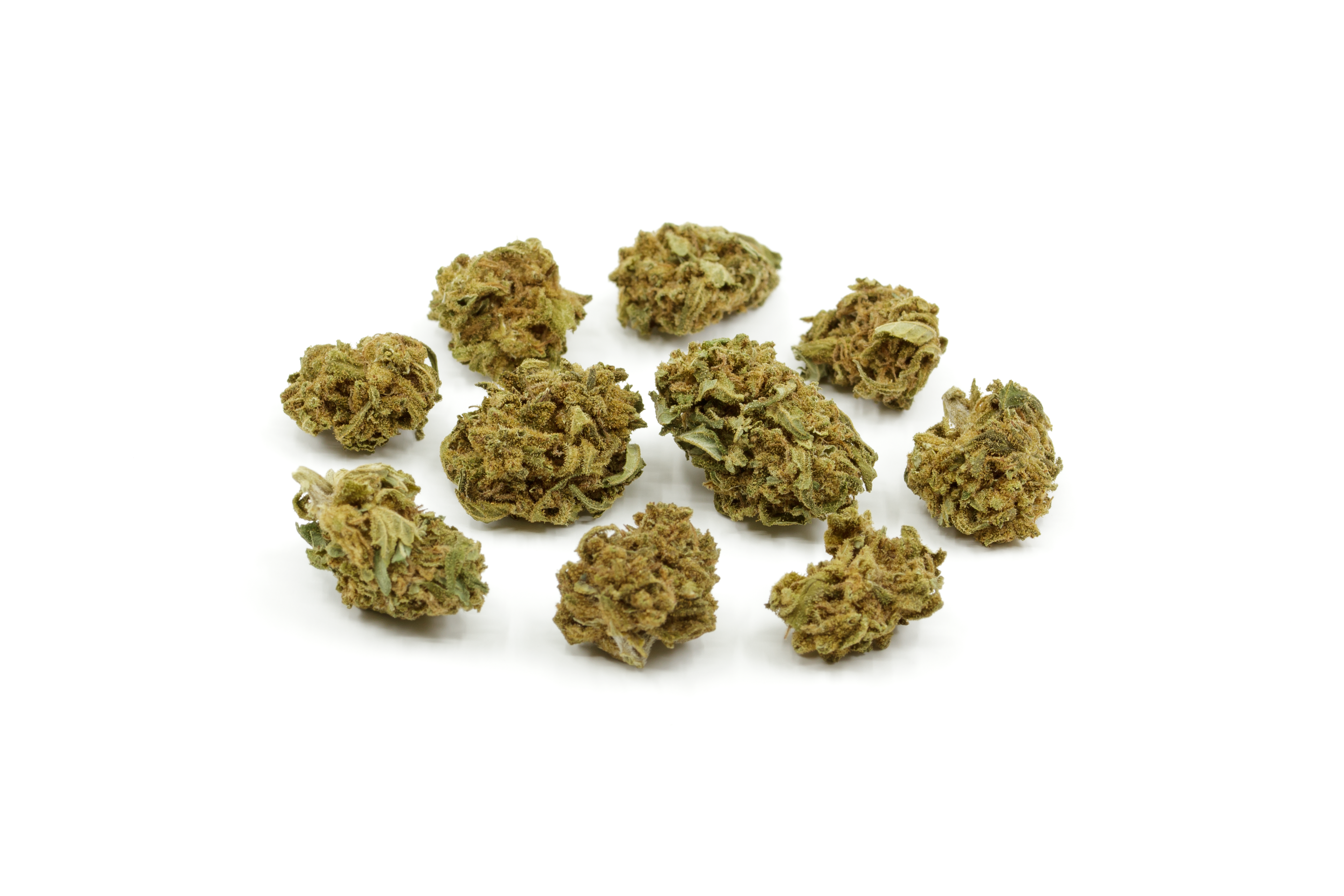 SMALL MIX BUD
