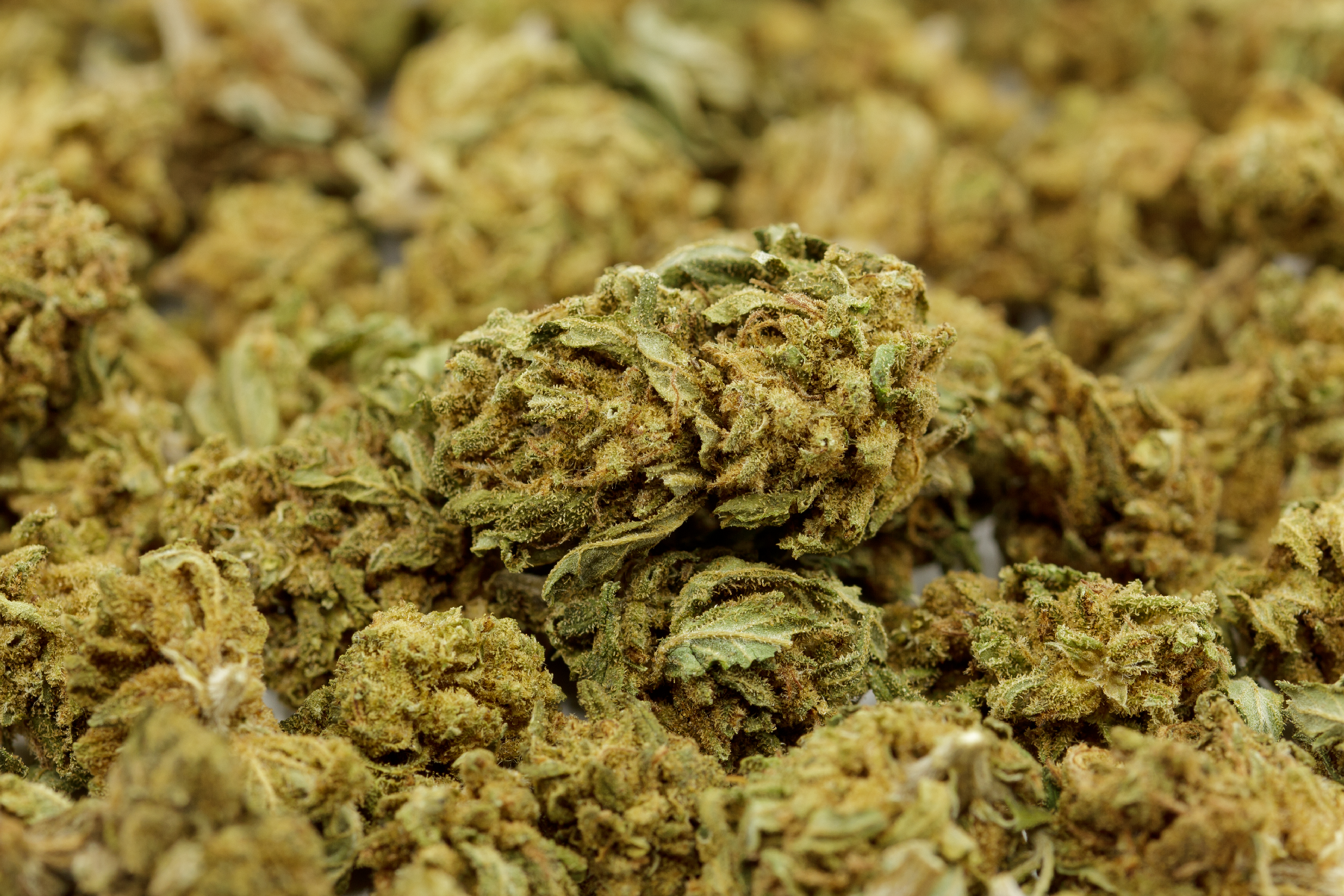 SMALL MIX BUD