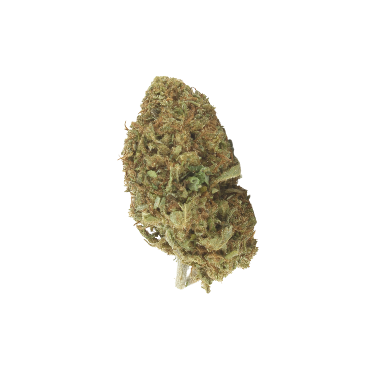 Blueberry