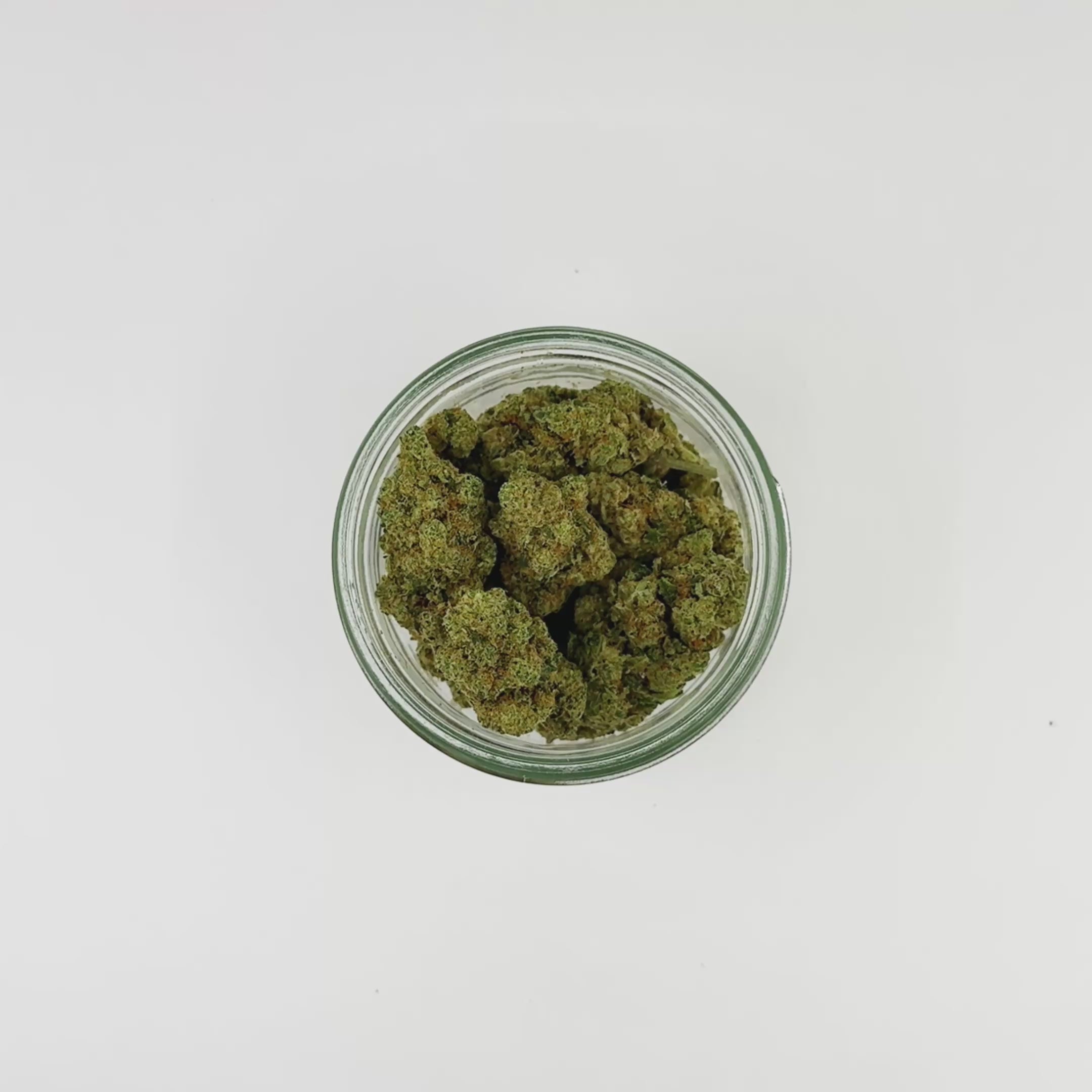 vidéos fleurs de white widow fond blanc