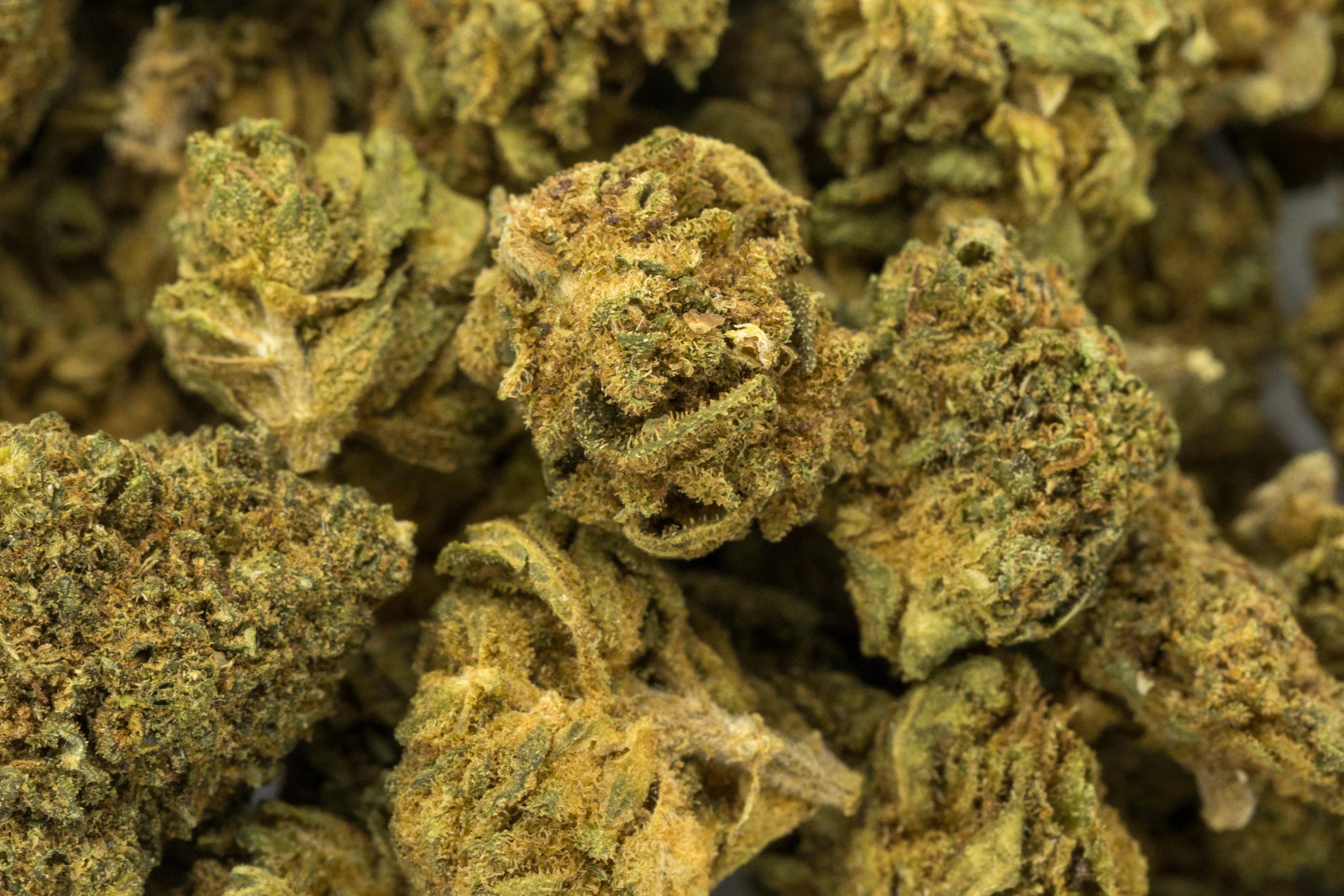 MINI BUD - MY CHANVRE CBD