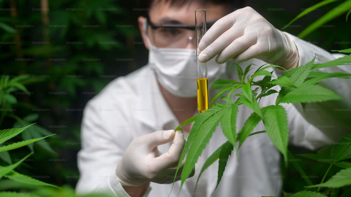 Faut-il croire tout ce qu’on dit sur le CBD ? On démêle le vrai du flou