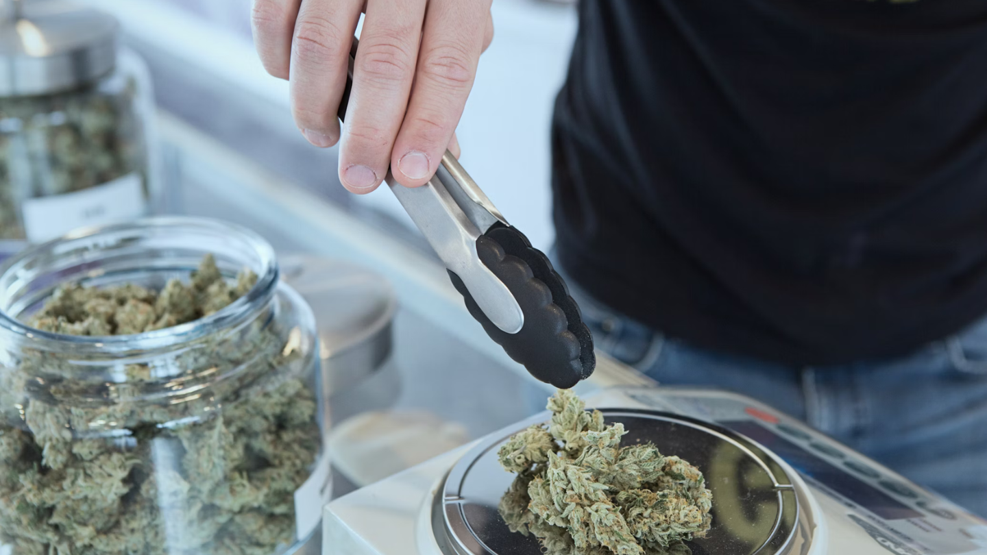 CBD et effet sur le foie : ce qu’il faut vraiment savoir