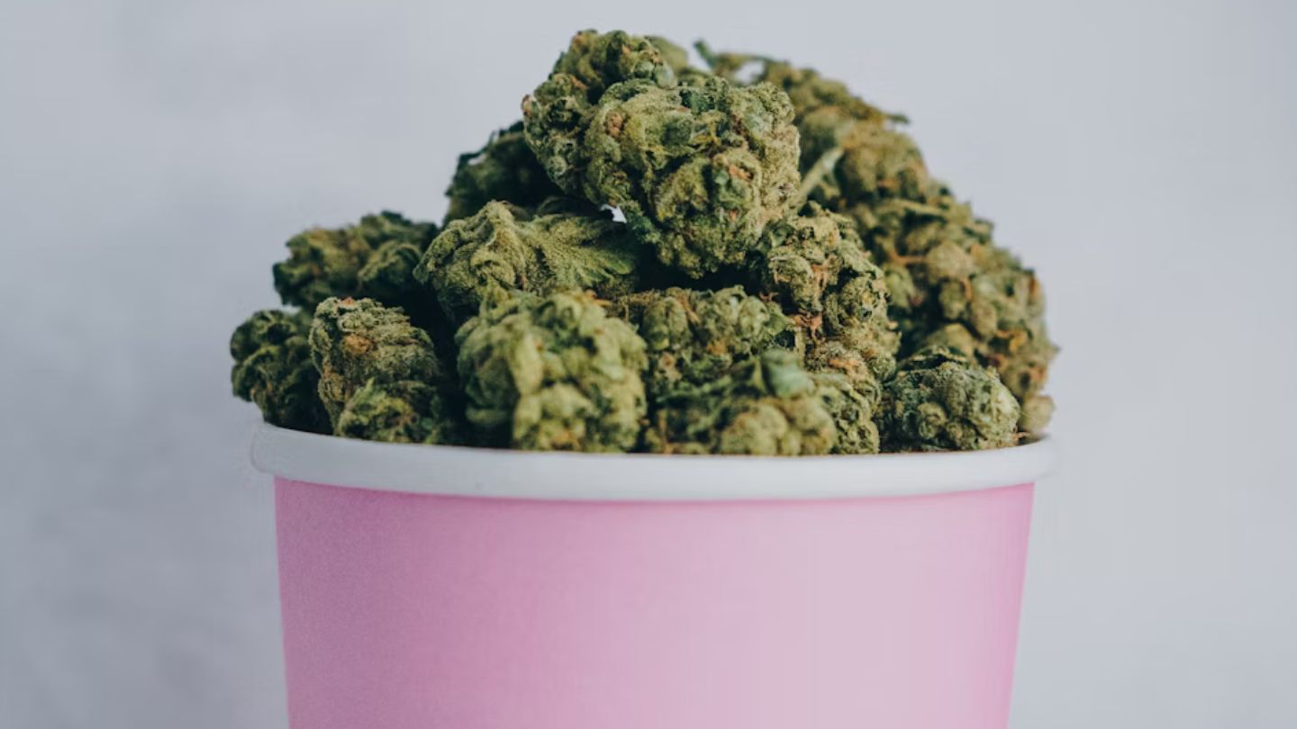 Pourquoi le CBD est une aide naturelle dans le sevrage du THC ?