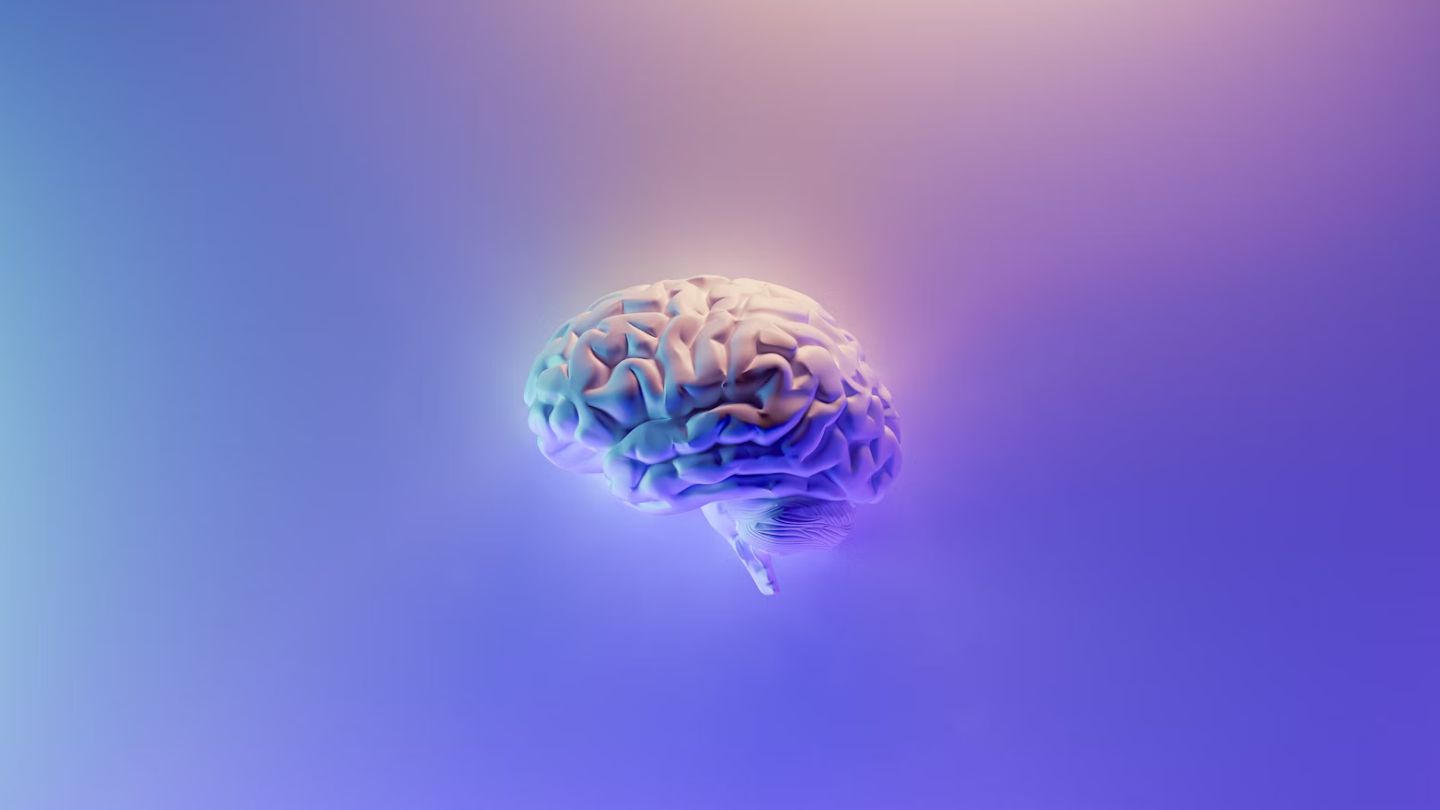 Fleurs CBD vs weed THC : quelles différences pour le cerveau ?