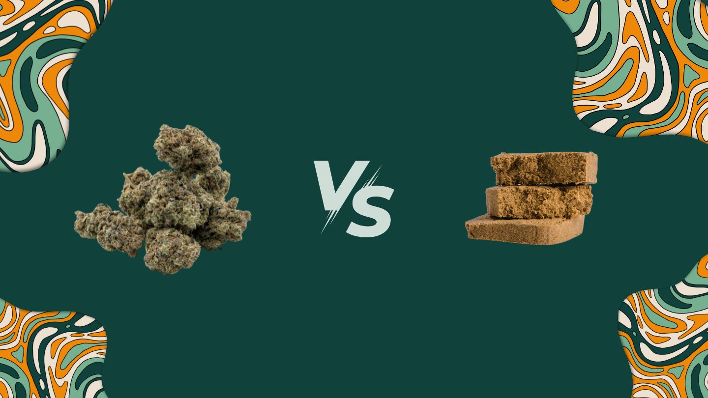 Fleurs CBD vs résines CBD : quelles différences et pour qui ?
