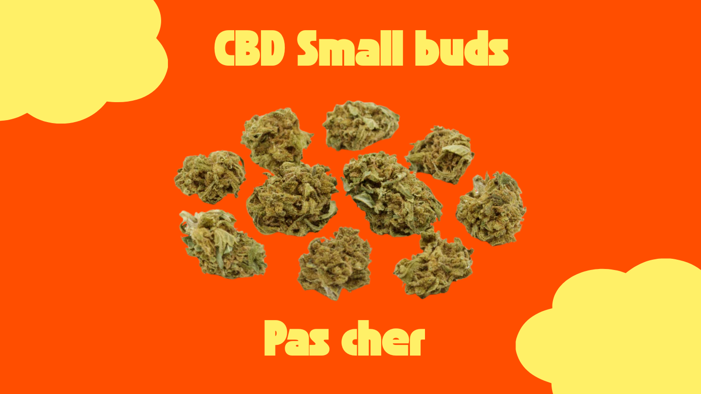petites têtes de cbd sur fond orange avec écrit cbd small buds pas cher en jaune 