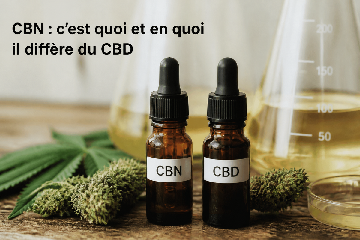 CBN : c'est quoi et en quoi il diffère du CBD