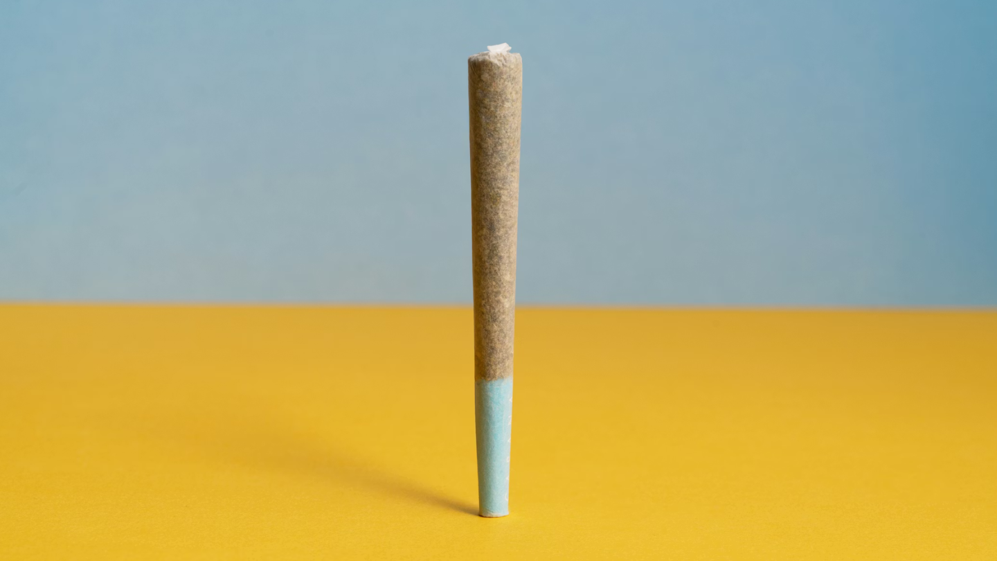 Pré roulé CBD en position verticale sur fond bleu et jaune 