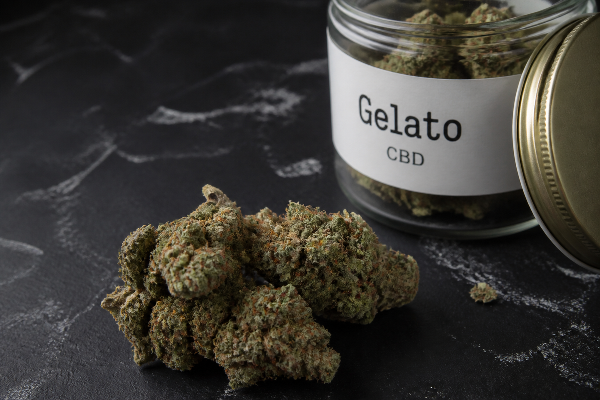 Gelato CBD : profil, effets, à qui ça plaît