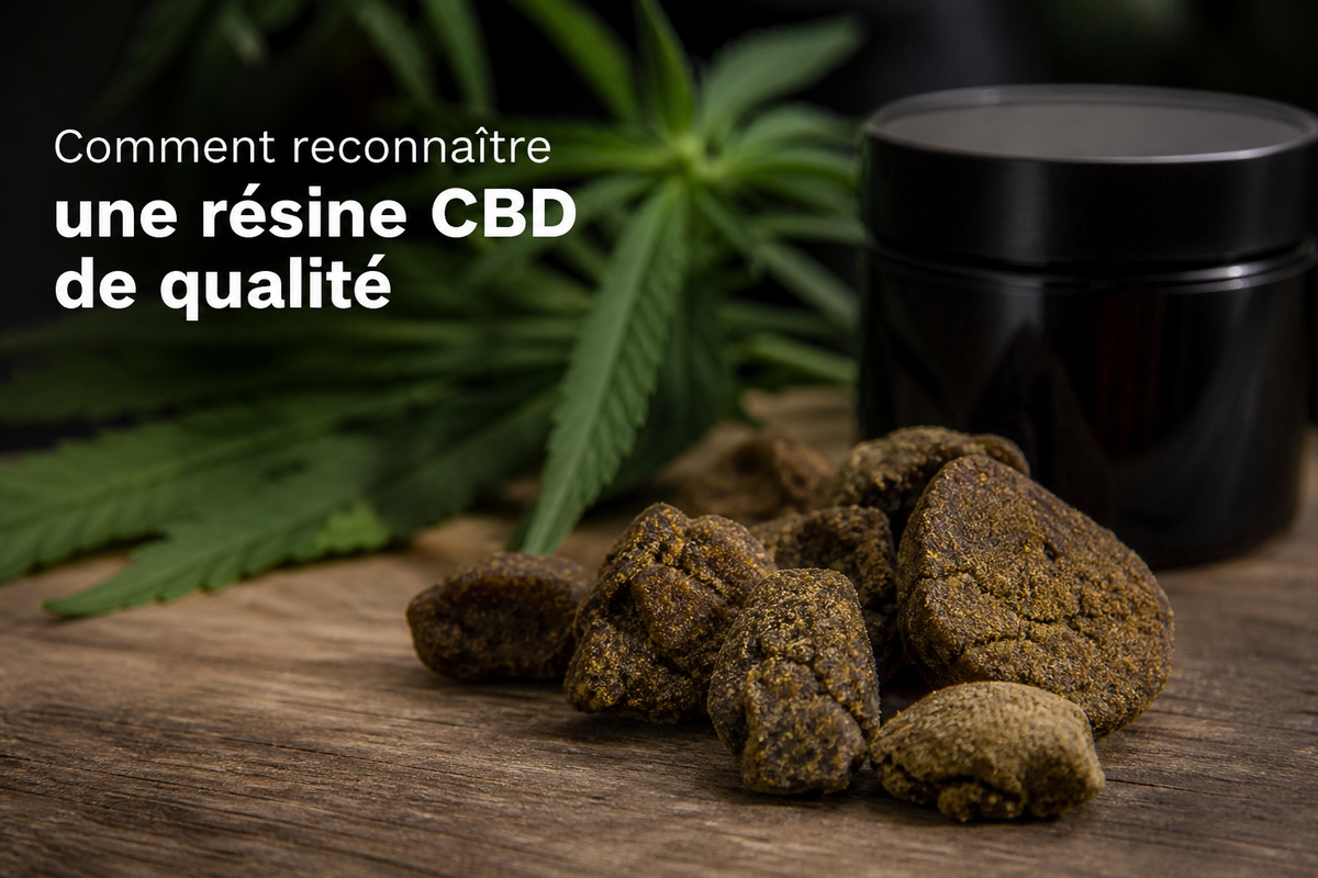 Comment reconnaître une résine CBD de qualité