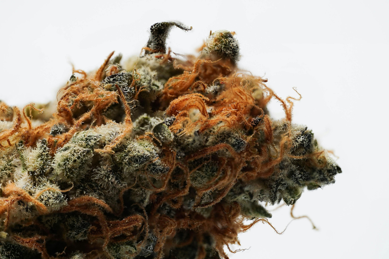 Fleurs CBD Puissantes