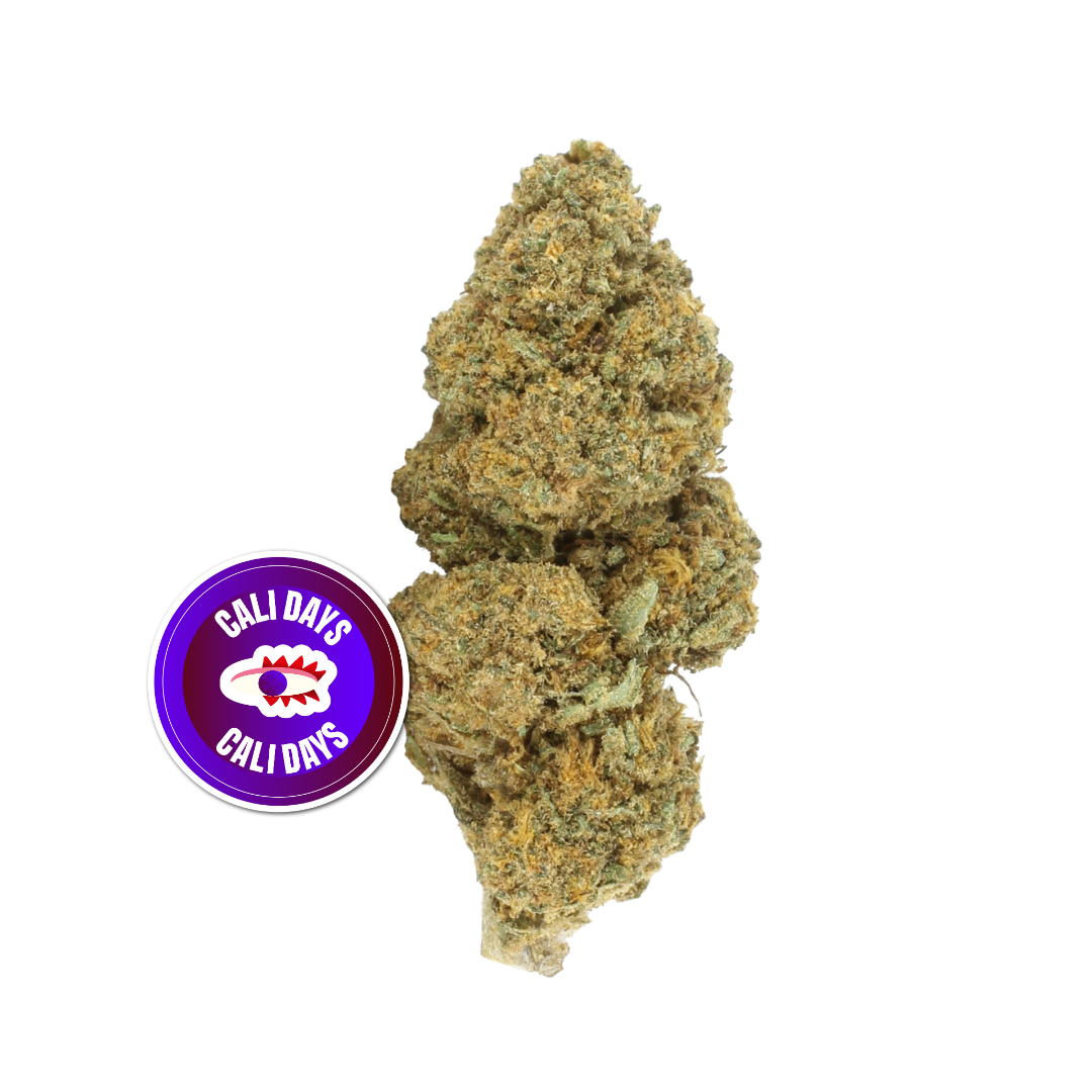 Orange Bud