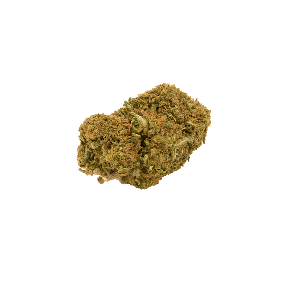 AURORA INDICA 𝟭𝟲%