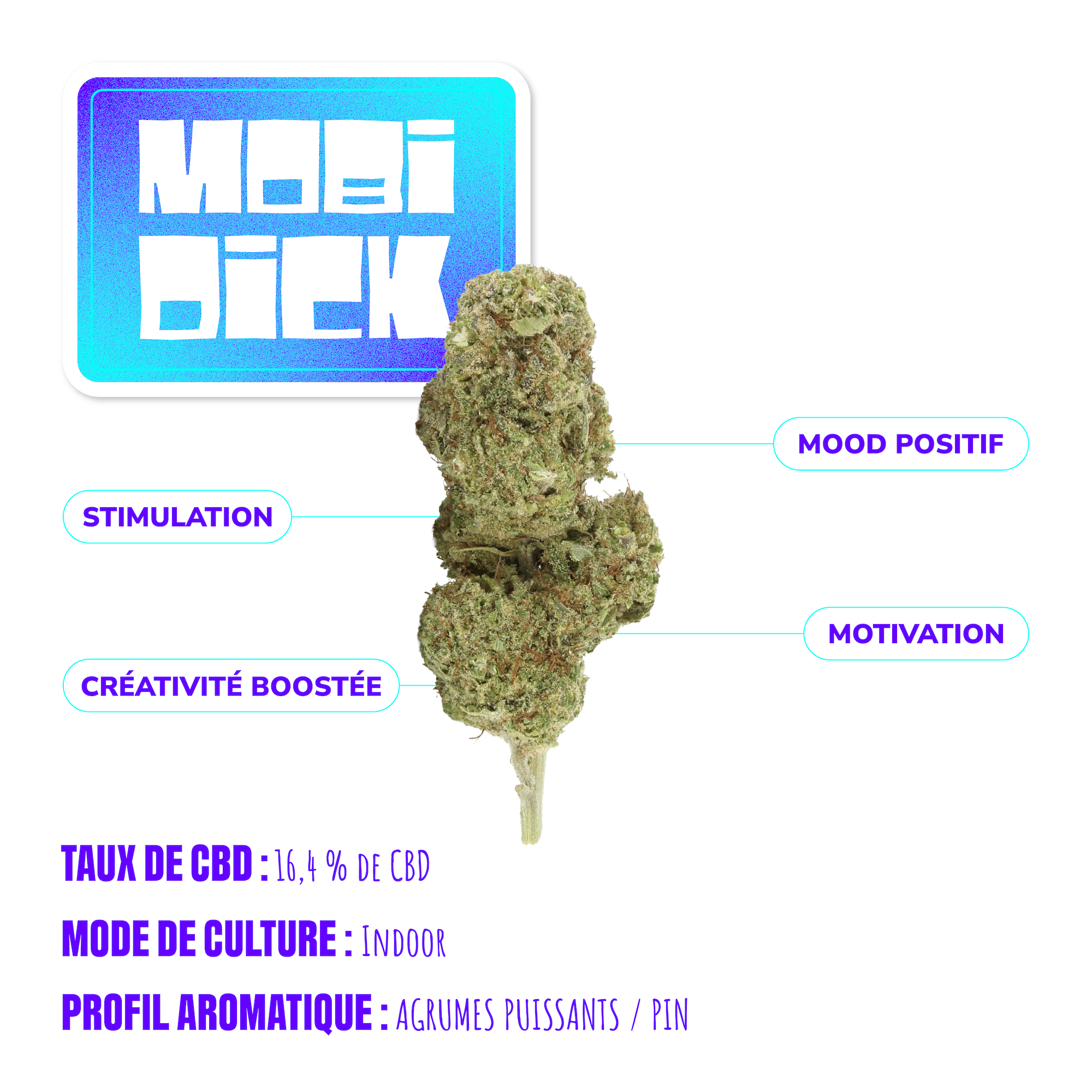 CALI DROP™