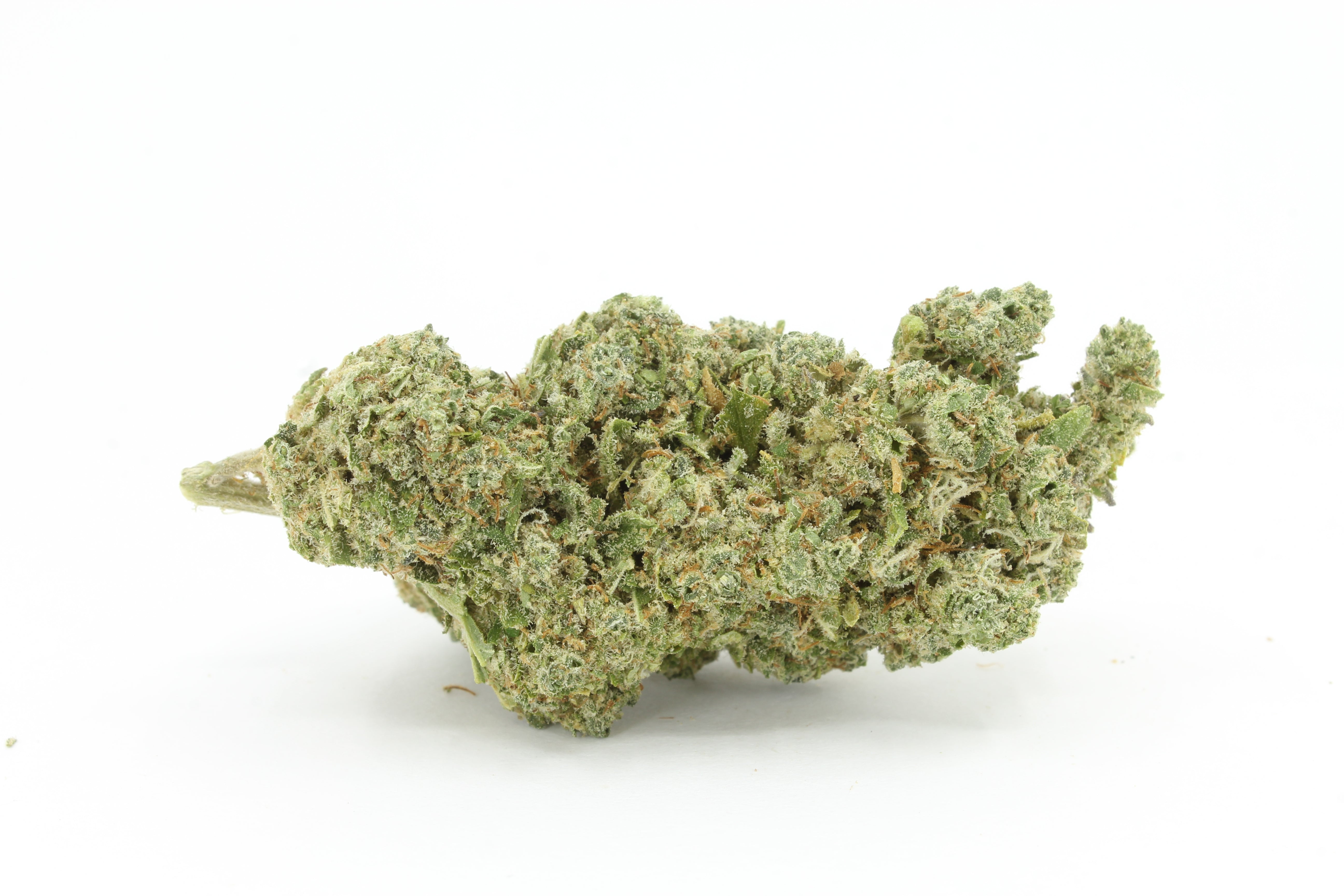 Melon Cake CBD