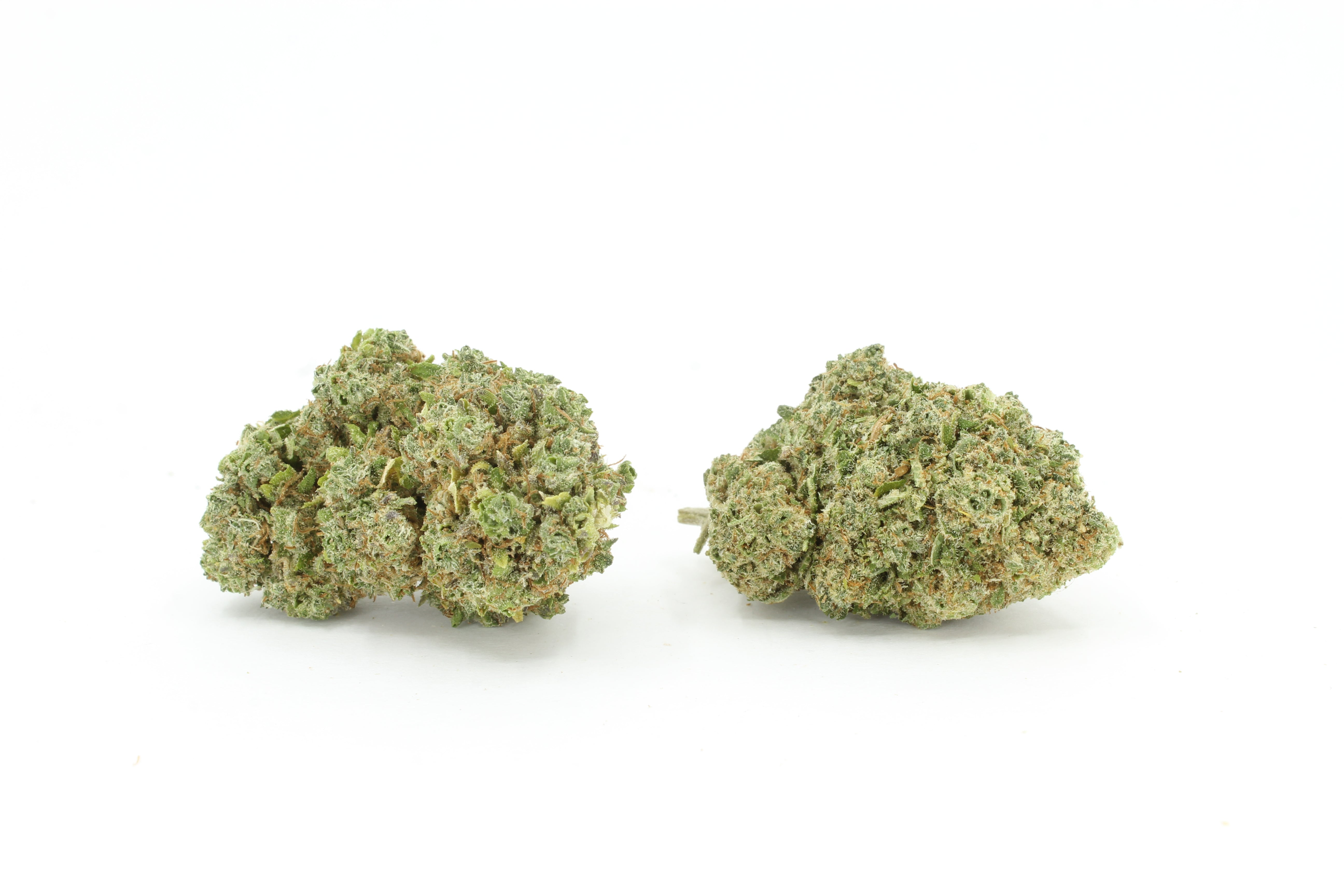 Melon Cake CBD
