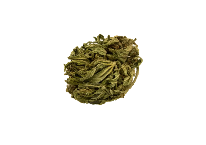 LA PICTAVIENNE 𝟳%