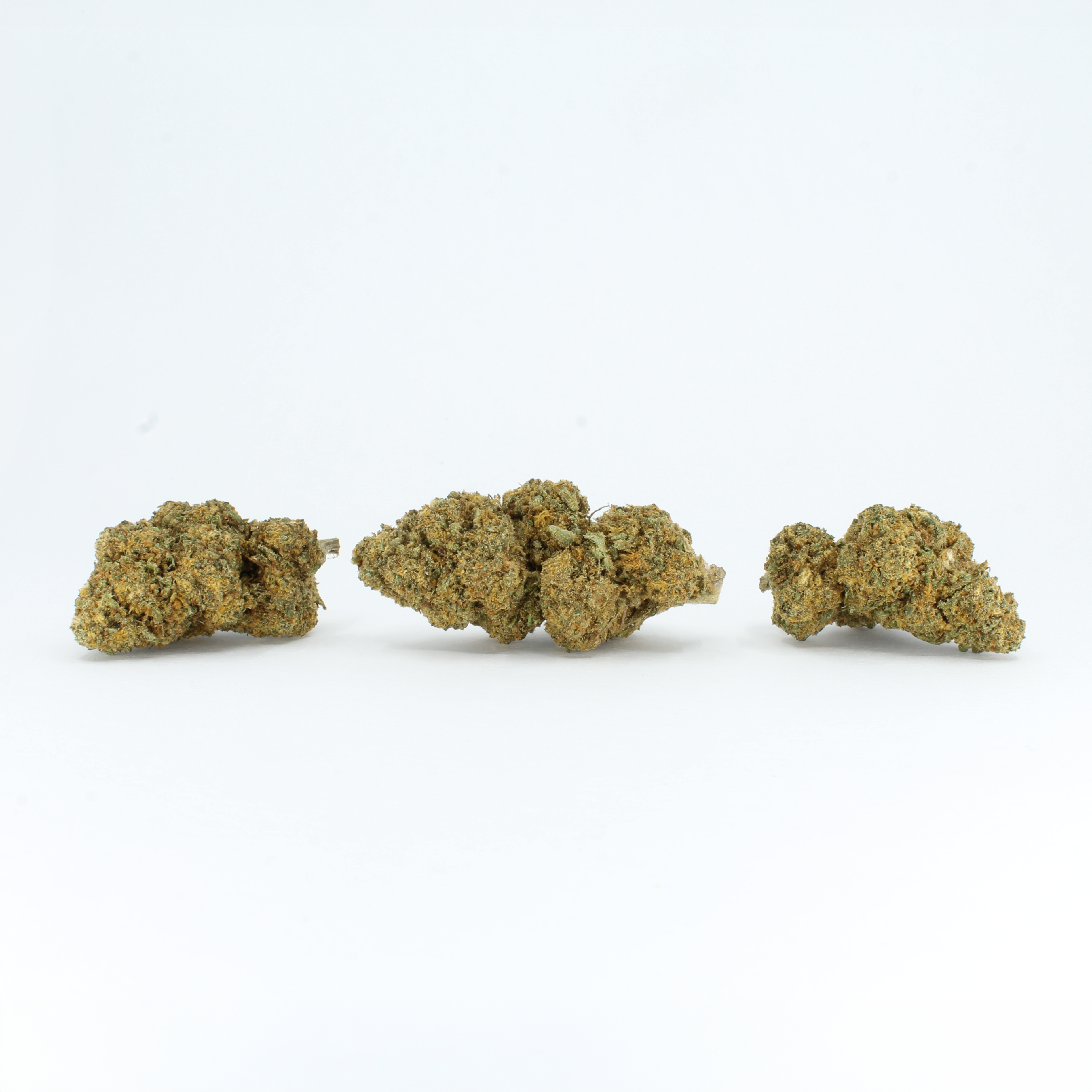 Orange Bud