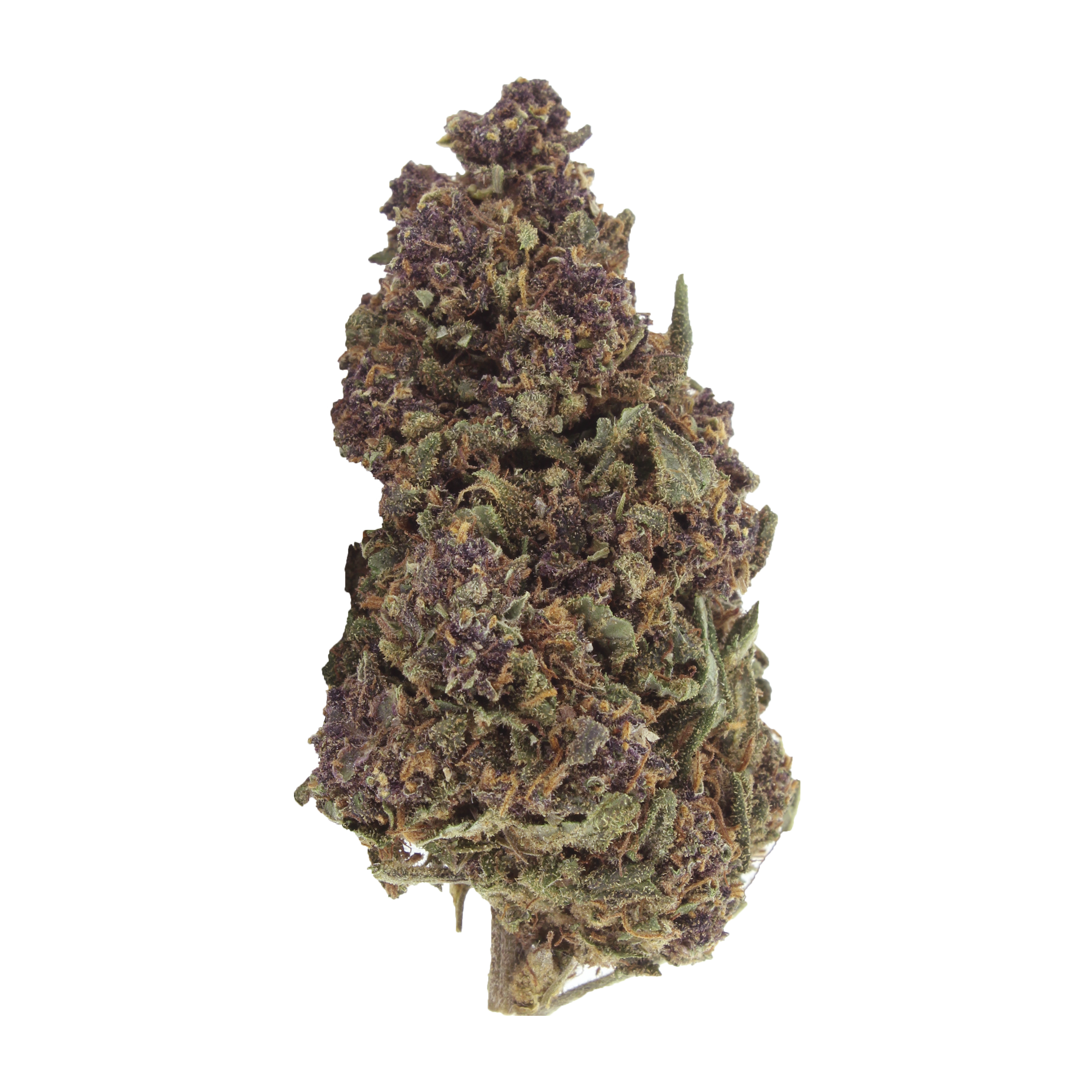Purple Haze CBD